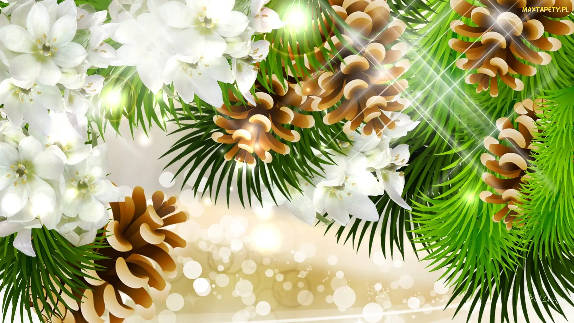 Gałązki, Kwiaty, Grafika, Szyszki, Boże, Narodzenie, Iglaka