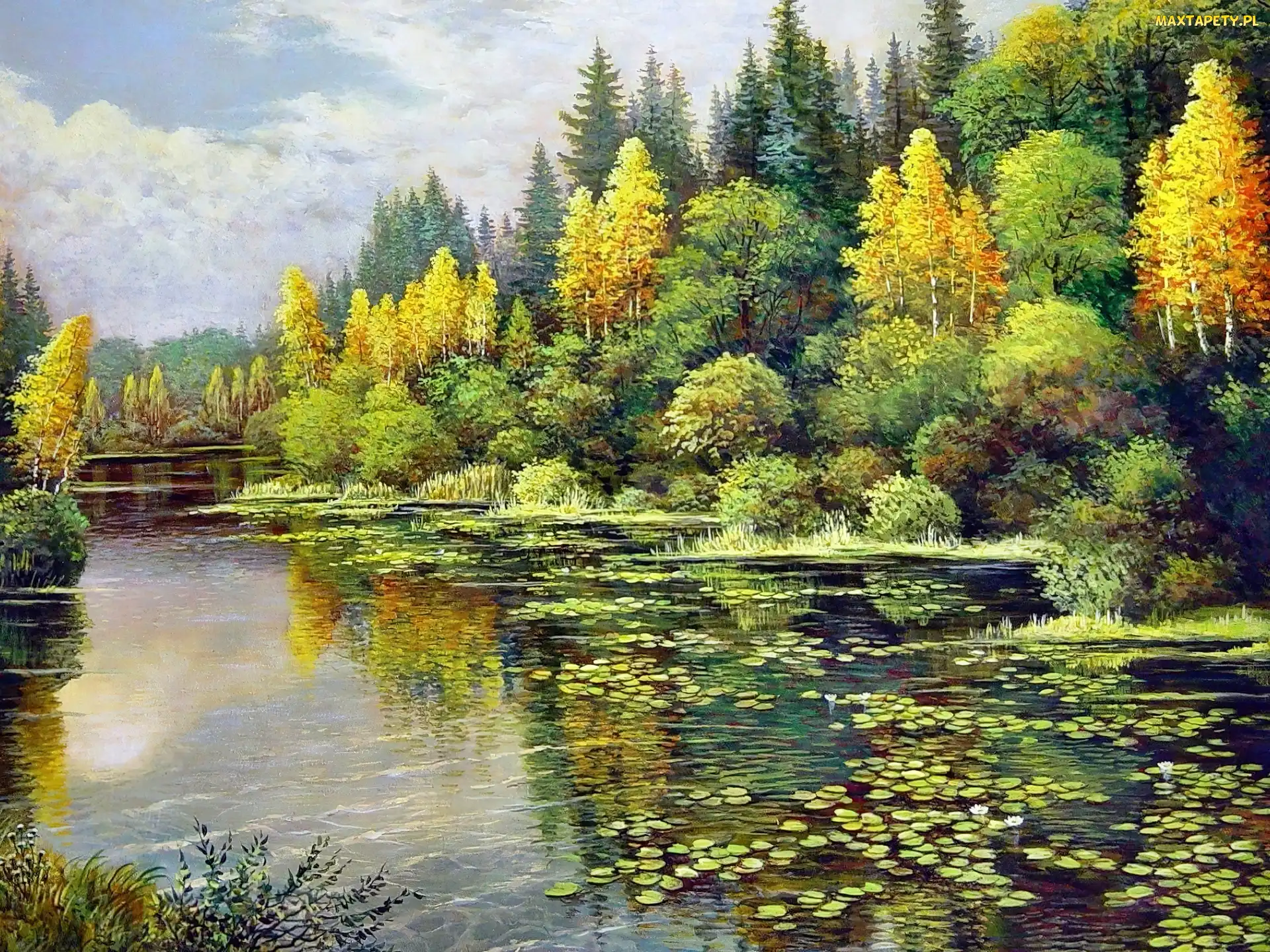 Rzeka, Obraz, Jesień, Las