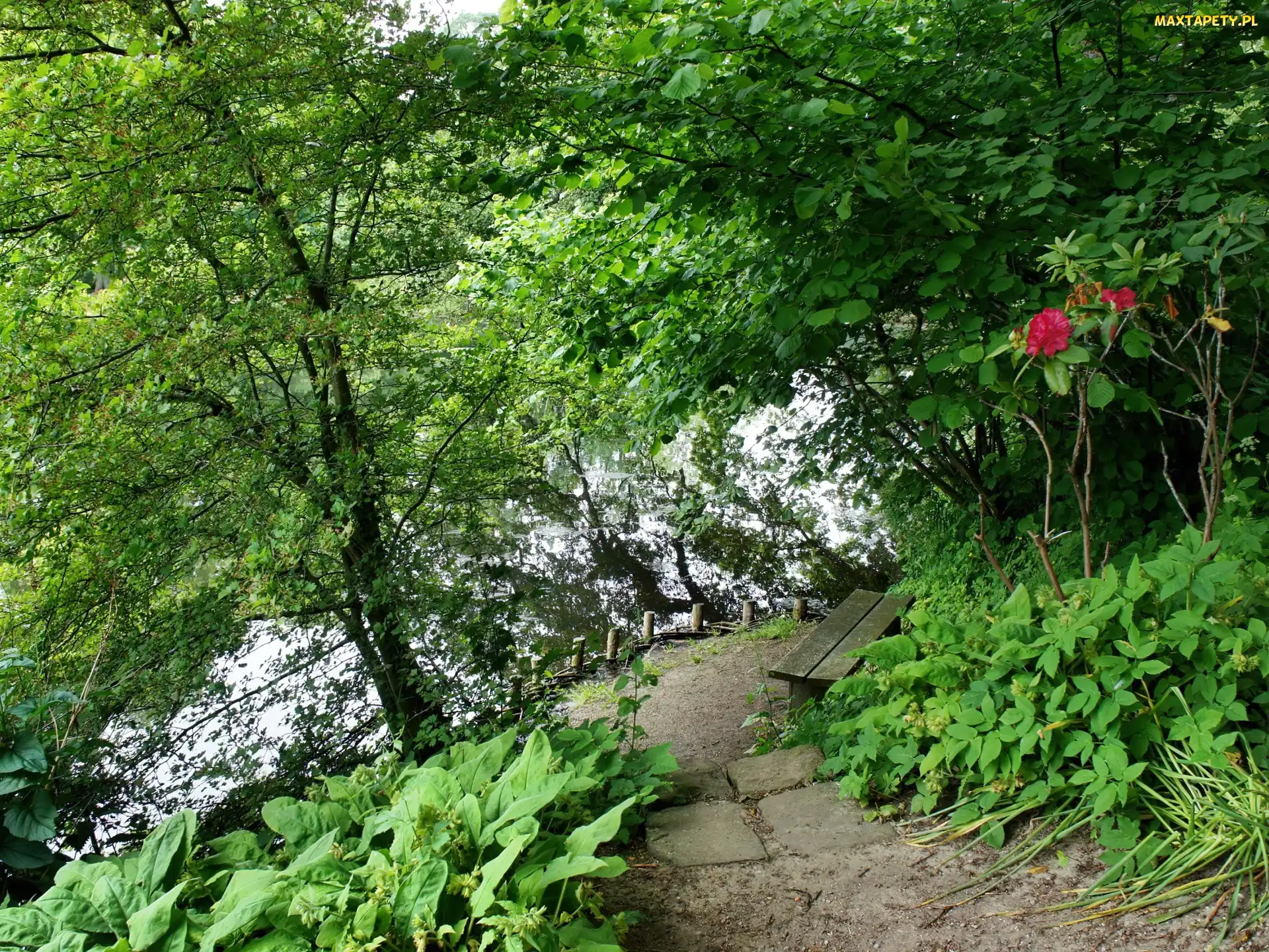 Zieleń, Ławka, Park, Zakątek