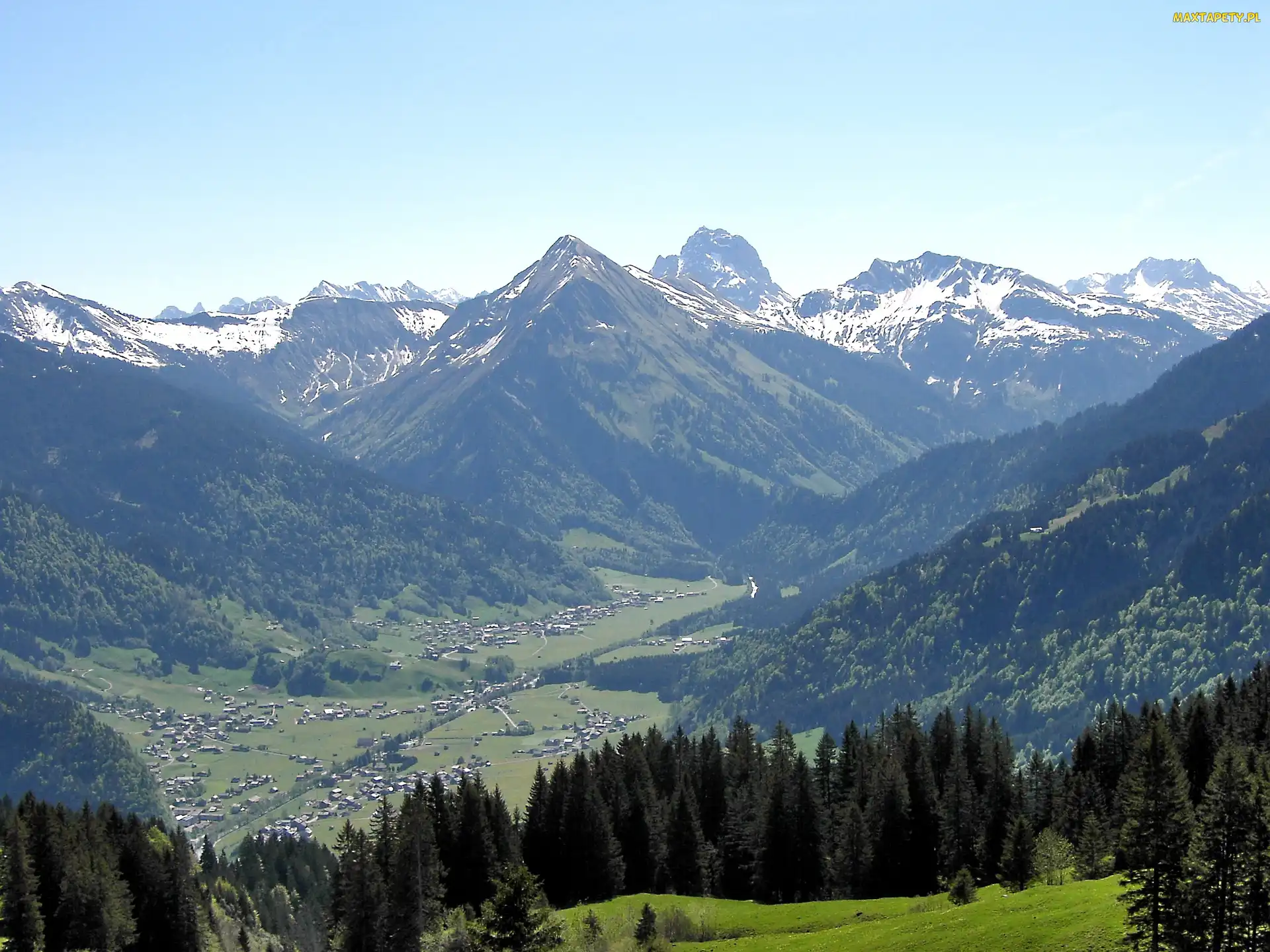 Drzewa, Dolina, Austria, Kanisfluh, Ośnieżone, Góry