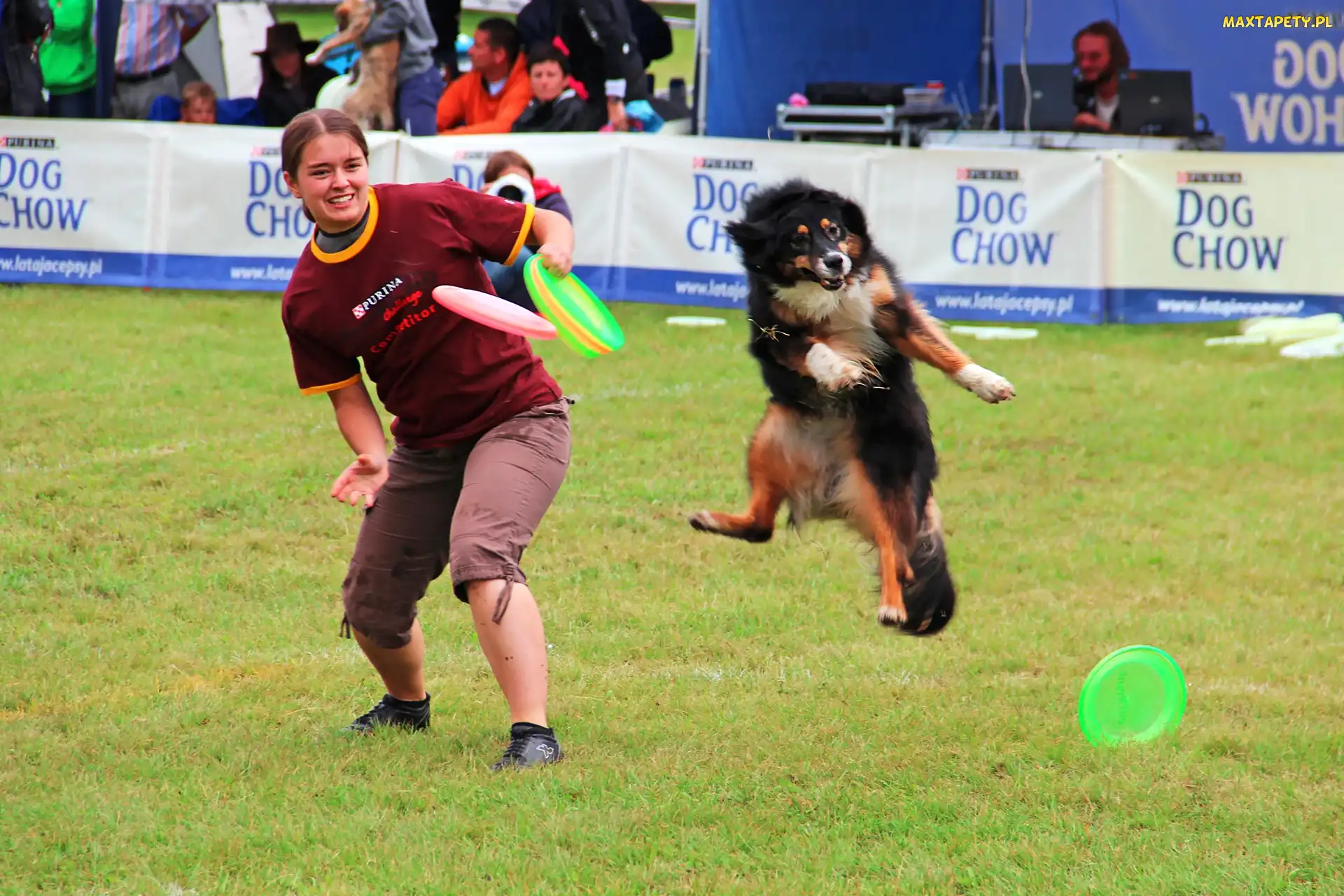Pies, Frisbee, Konkurs