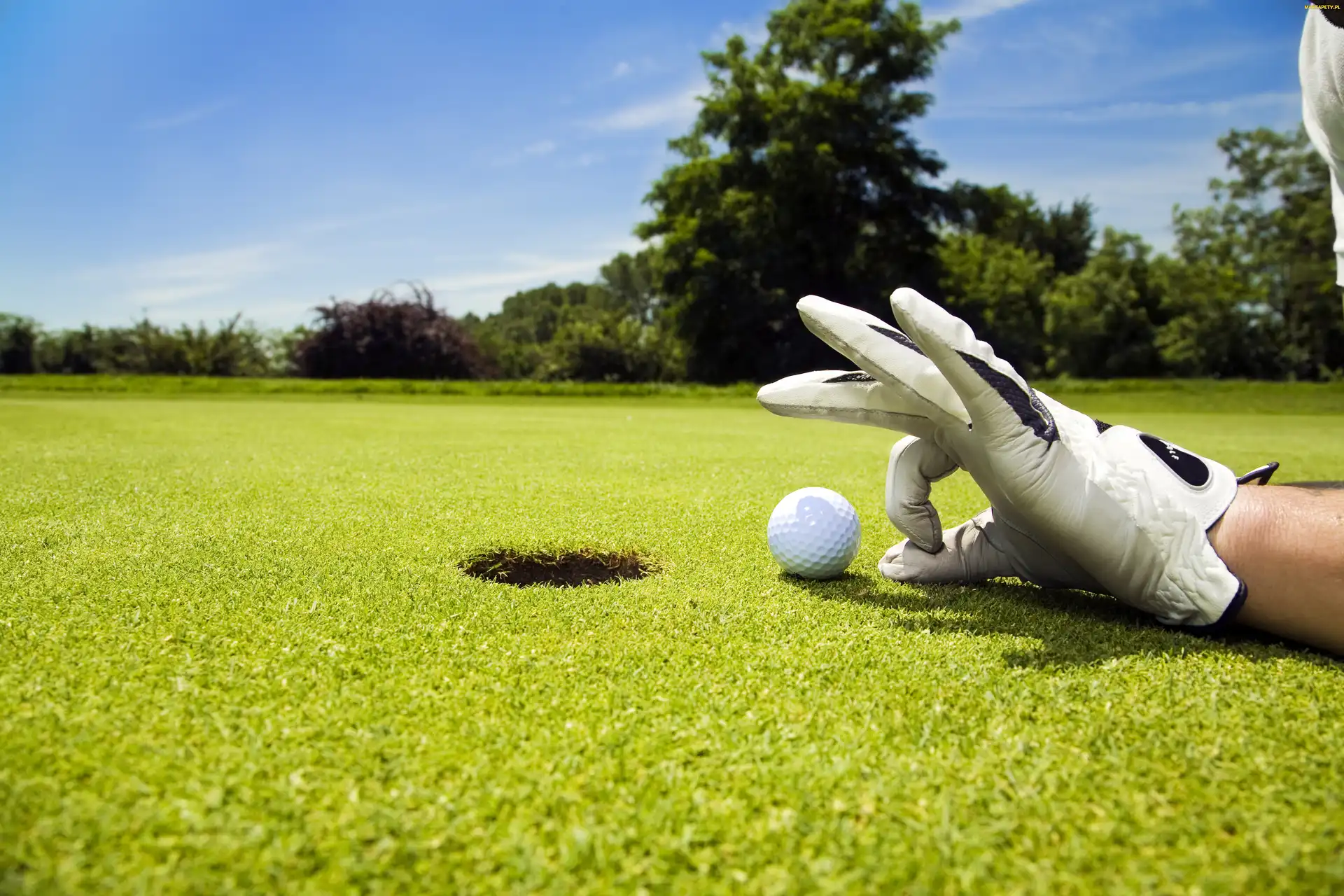 Ręka, Rękawiczka, Golf