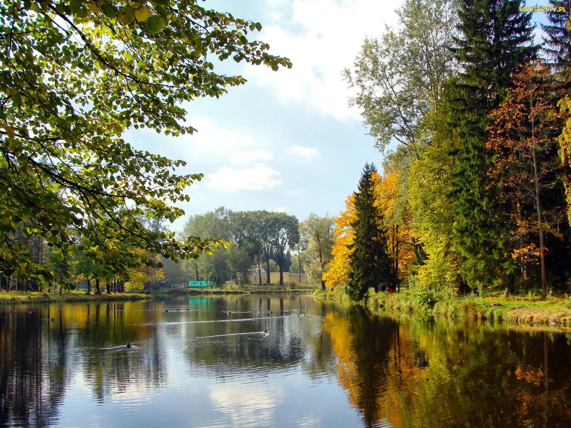 Drzewa, Jezioro, Park, Jesień