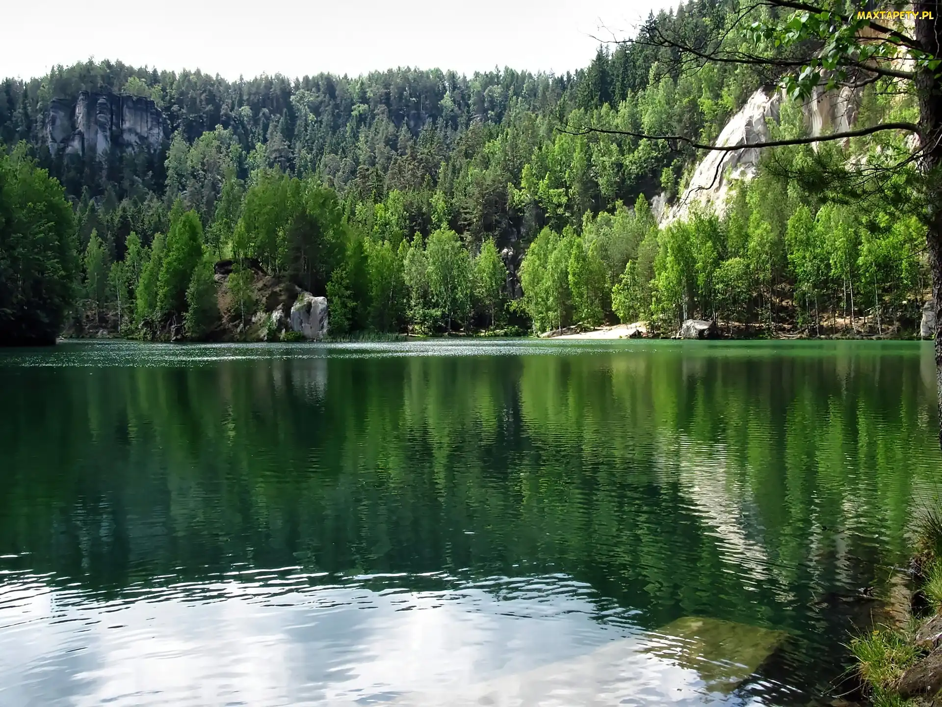 Świerki, Las, Adrspach, Czechy, Skalne Miasto, Skały