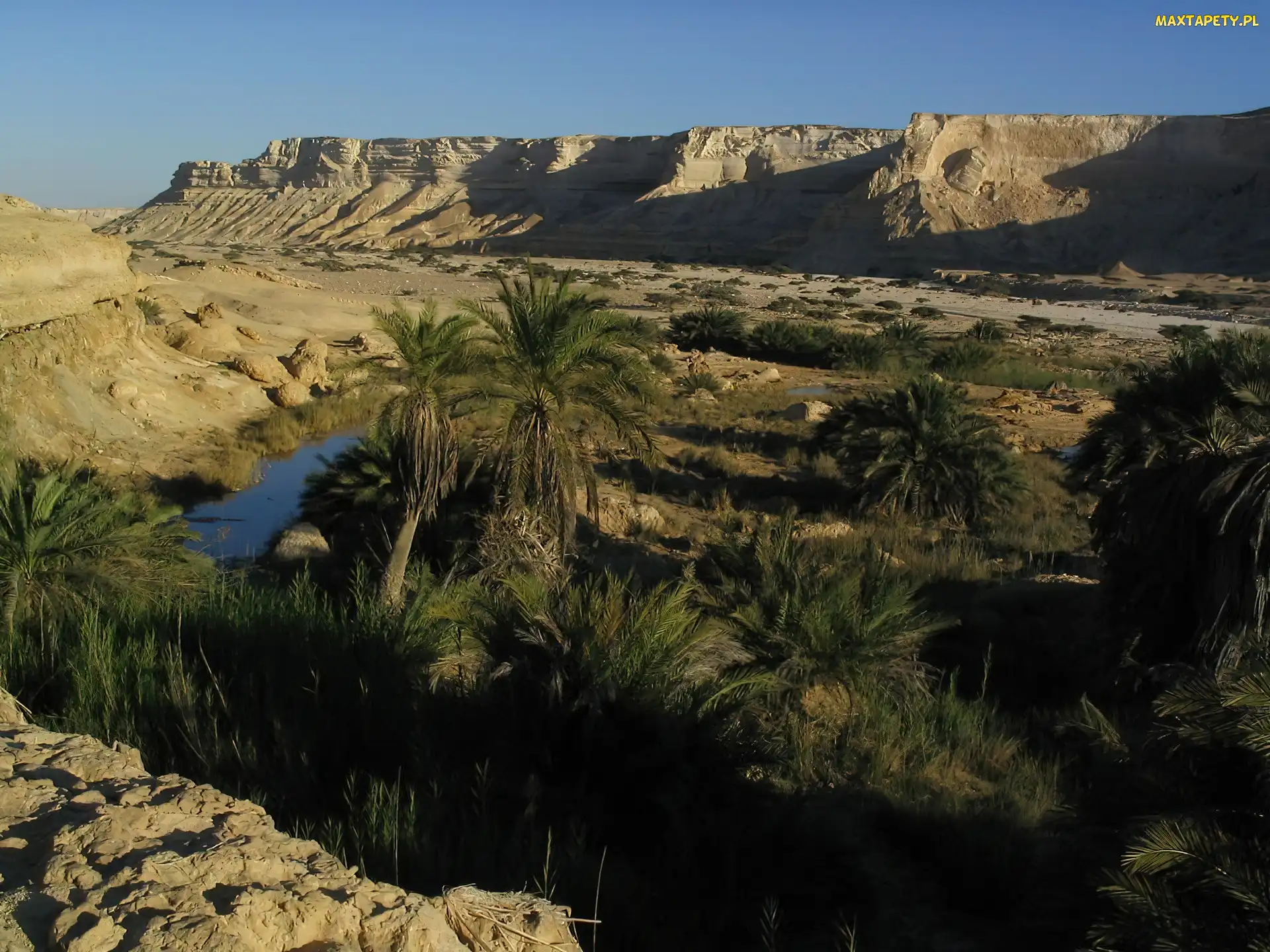 Piasek, Oman, Oaza, Palmy, Pustynia