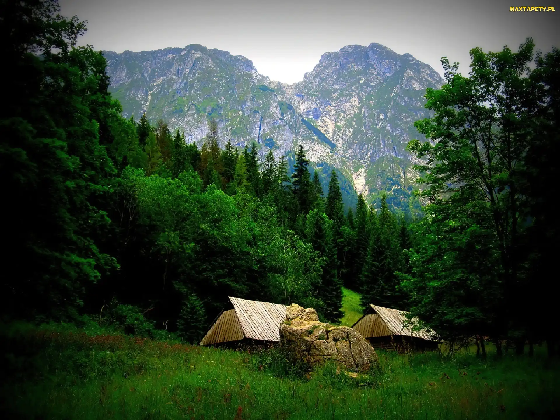 Szałasy, Strążyska, Góry, Las, Dolina, Krajobraz, Tatry