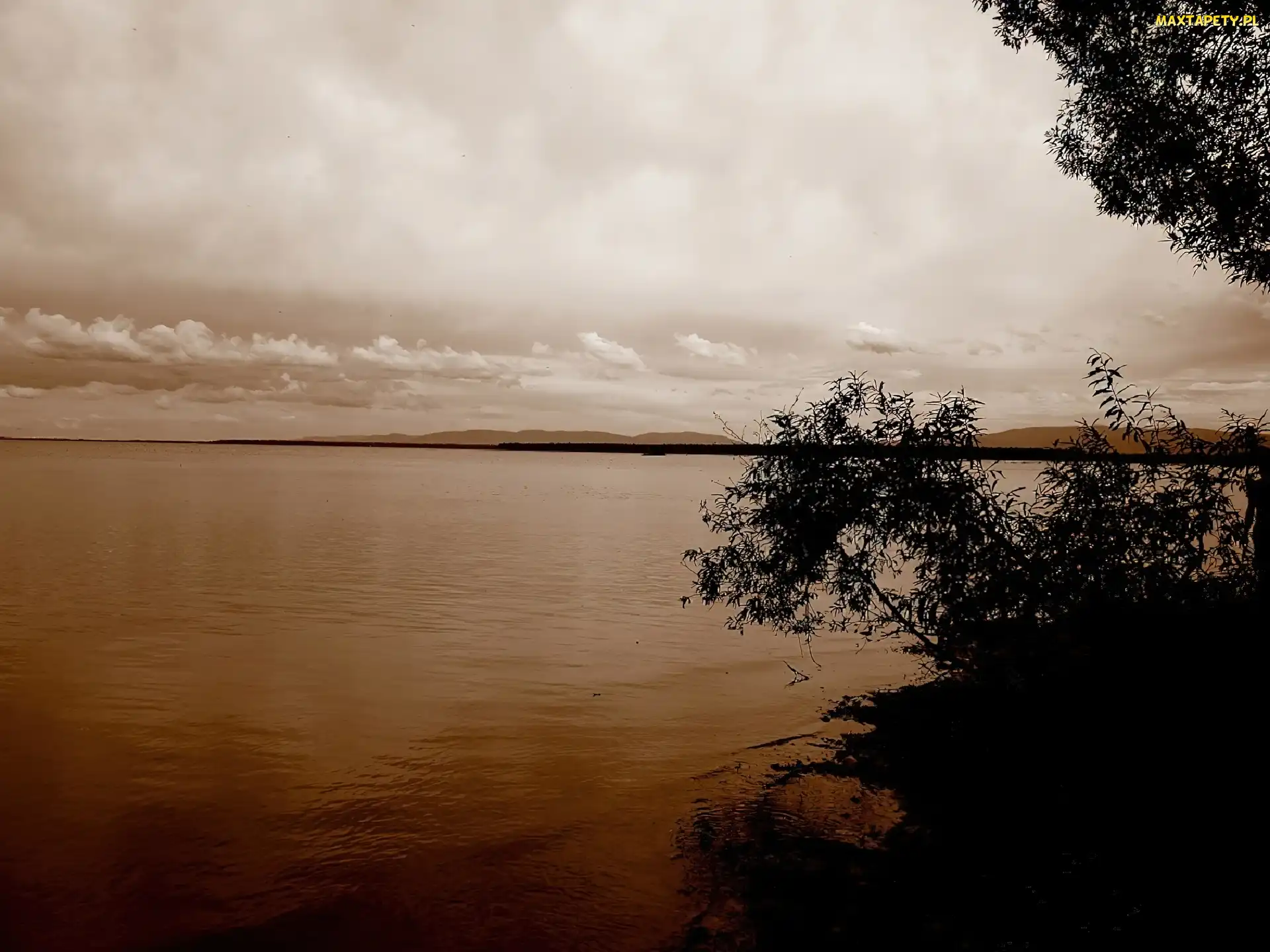 Gałęzie, Jezioro, Krajobraz, Lato