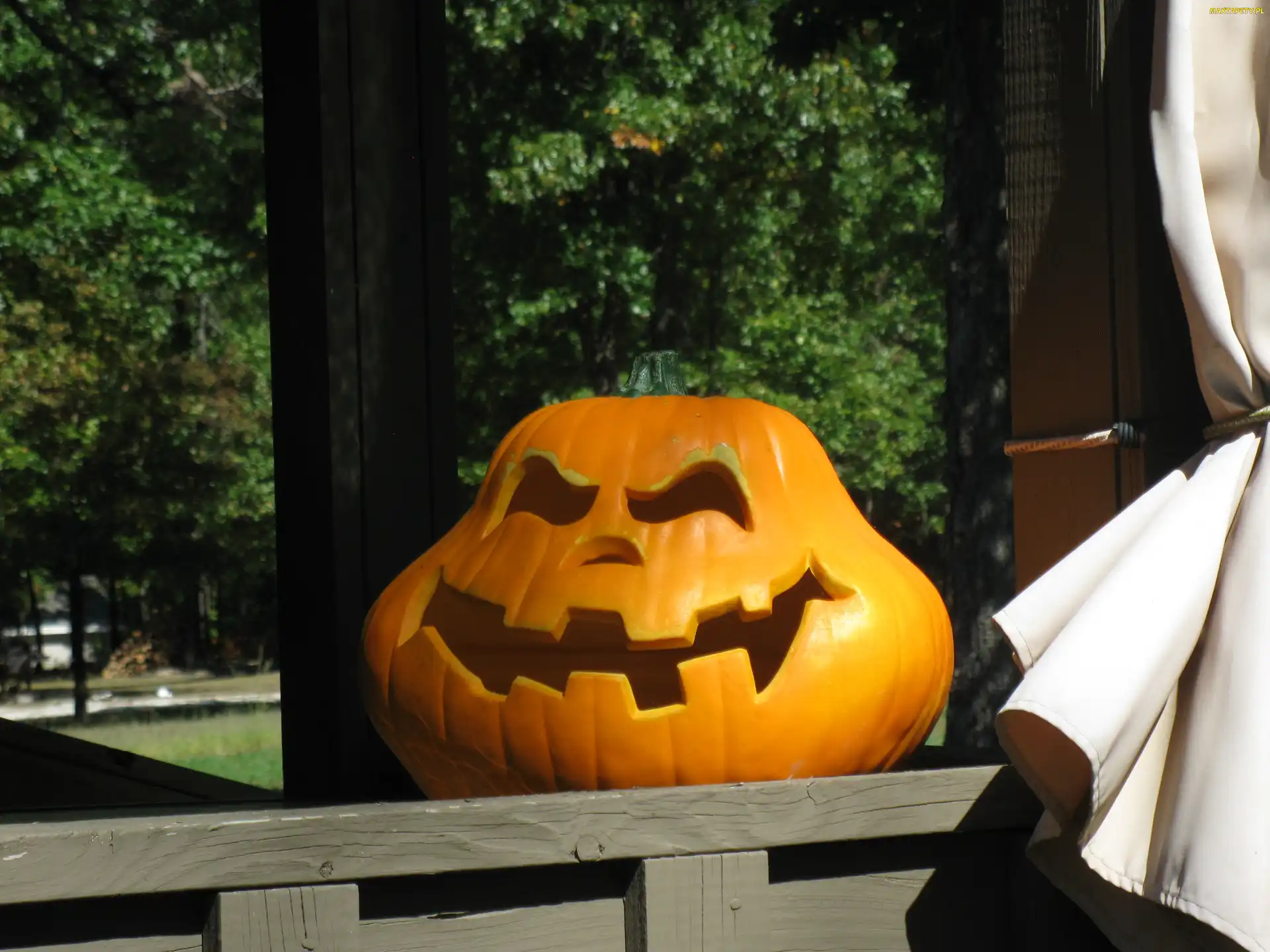 Dynia, Halloween, Parapet