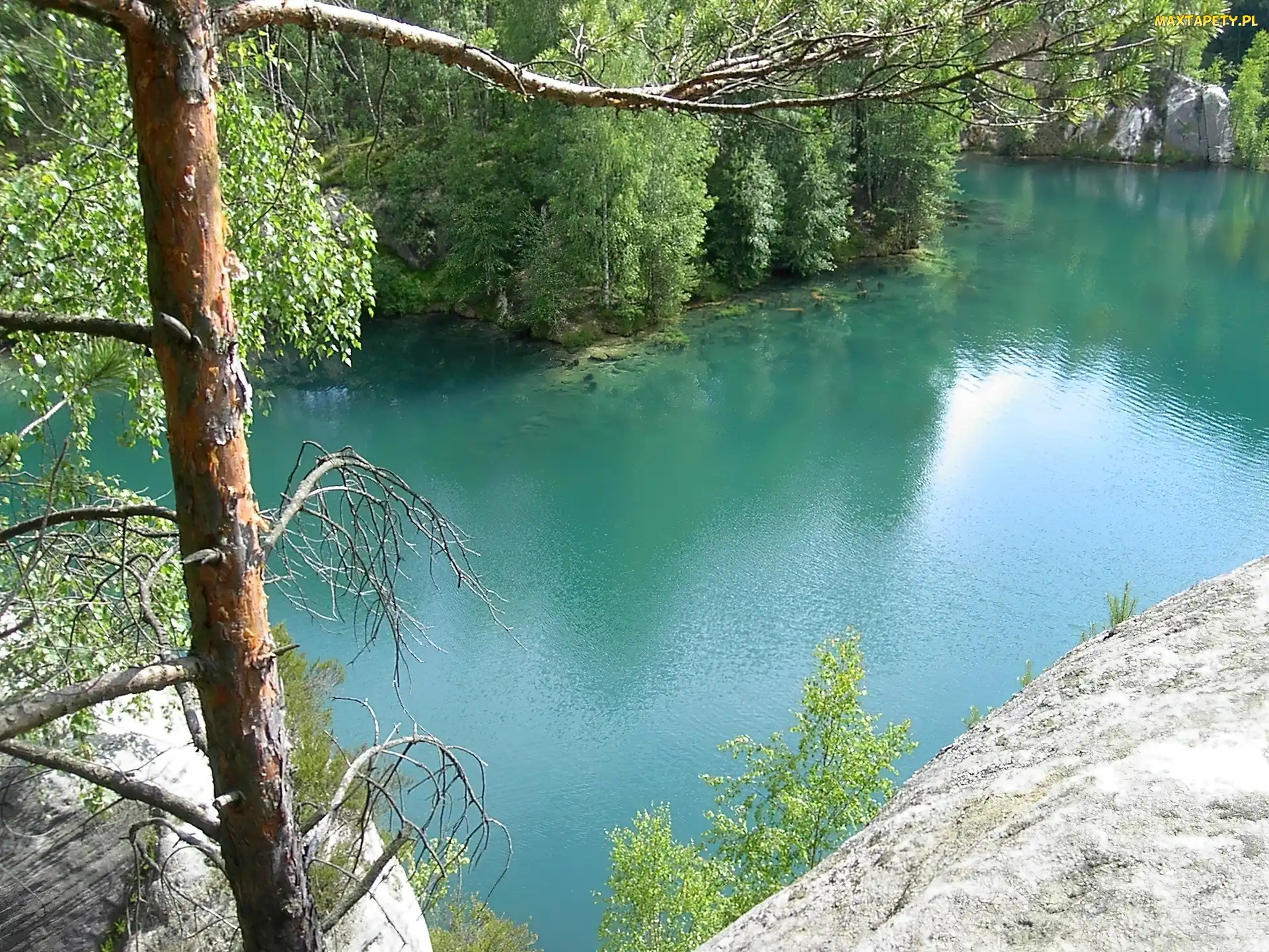 Skały, Czechy, Adrspach, Drzewa, Jezioro