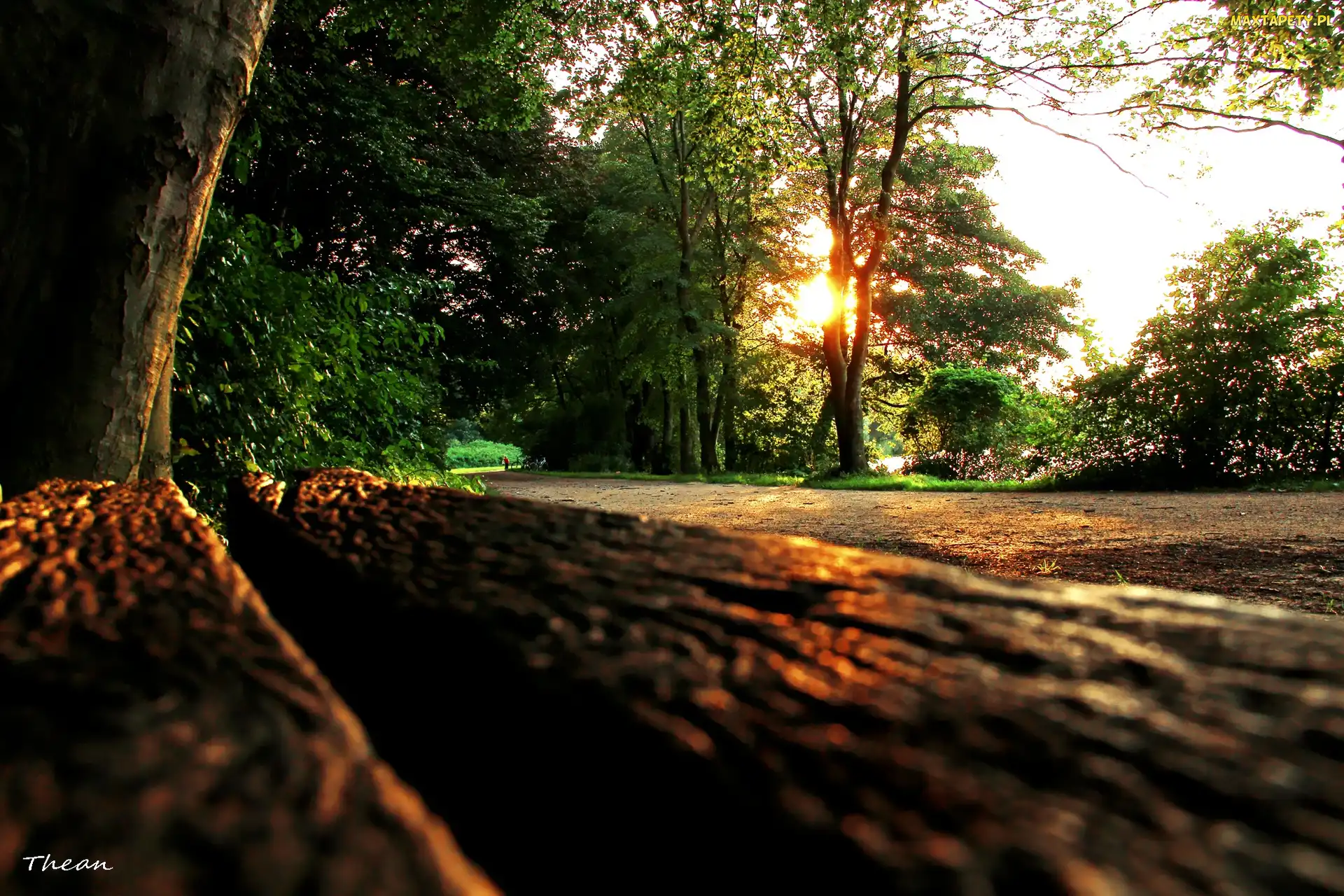 Ławka, Park, Zachód, Słońca