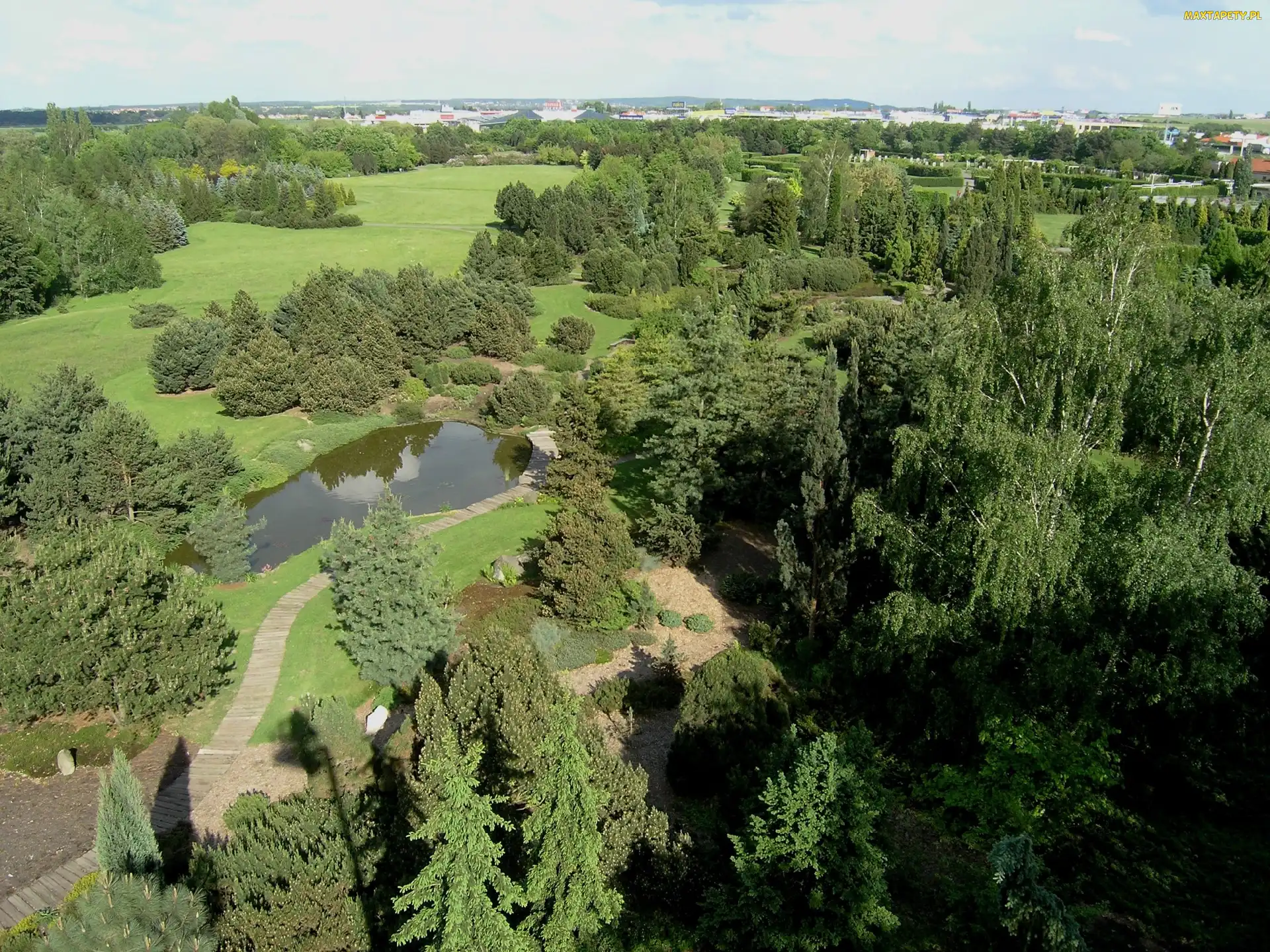 Dendrologiczny, Panorama, Park