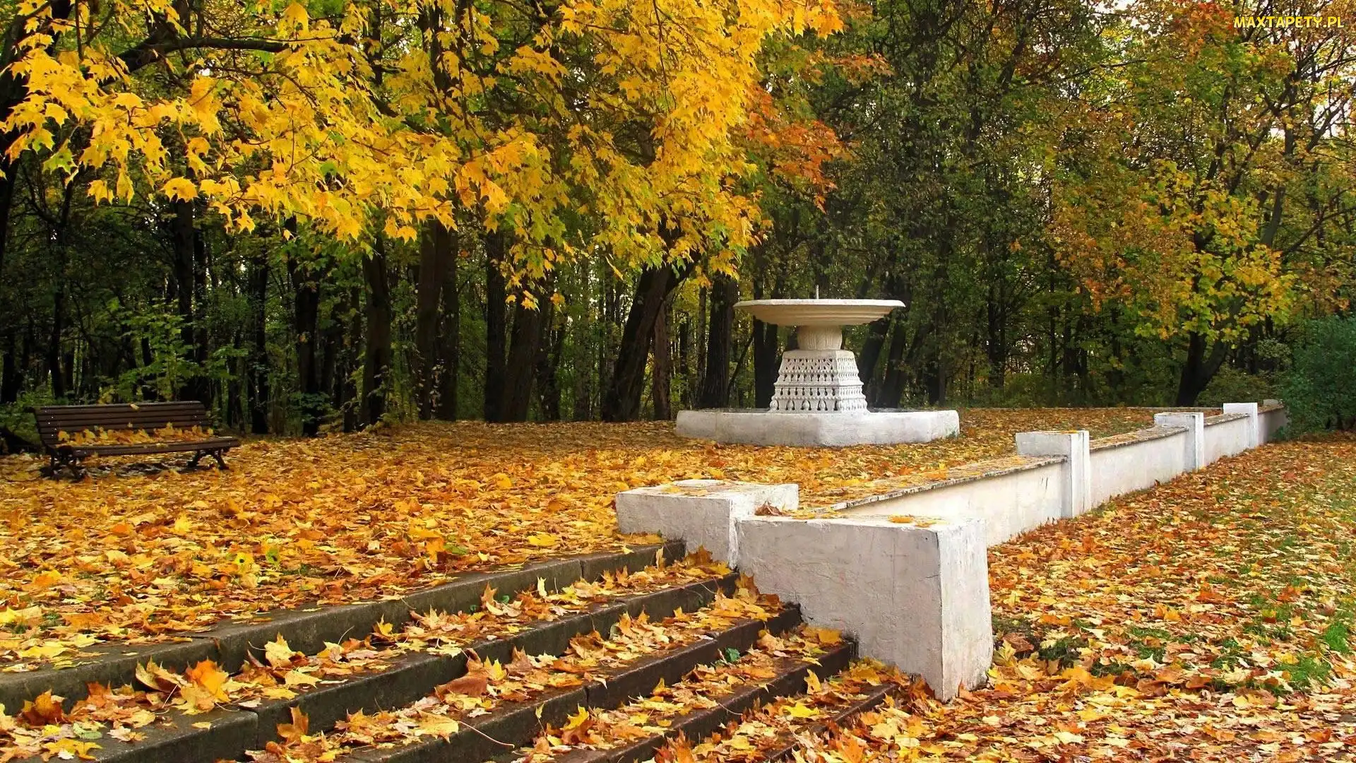 Liście, Ławka, Park, Jesień