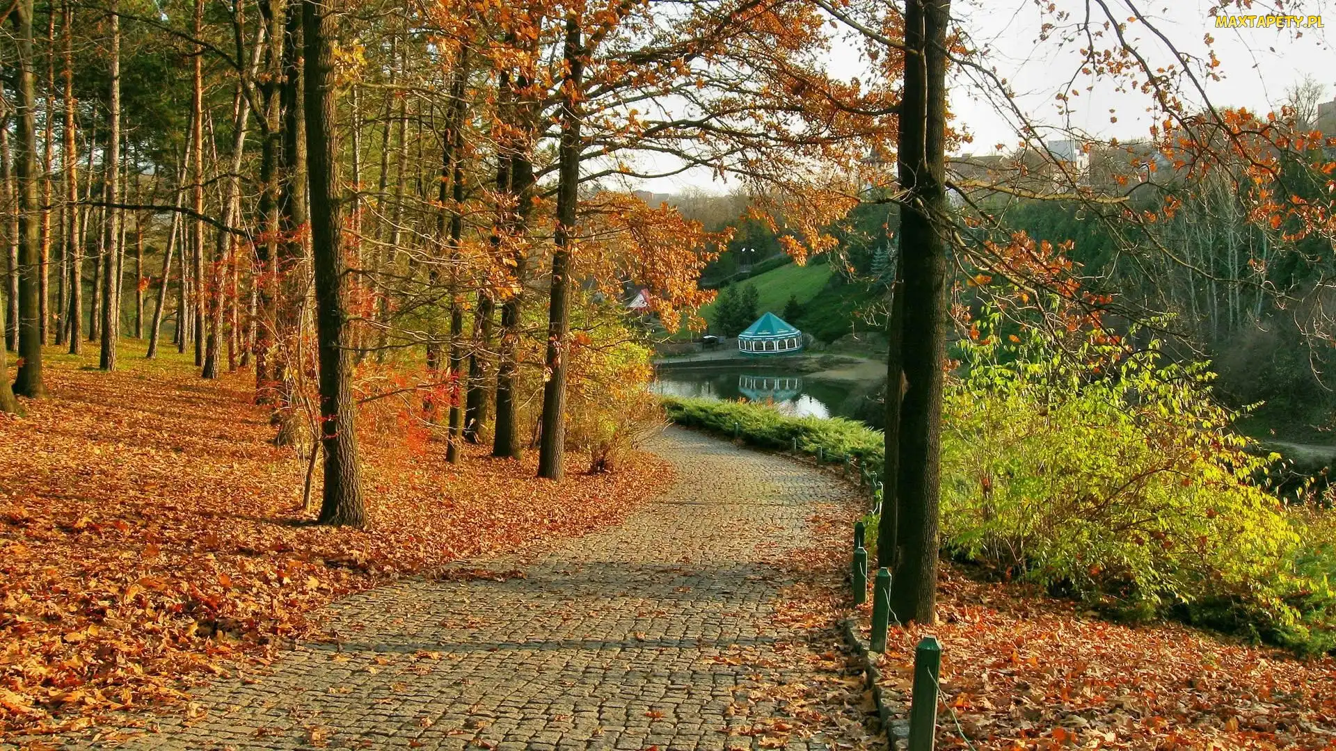 Jesień, Droga, Liście, Drzewa, Park
