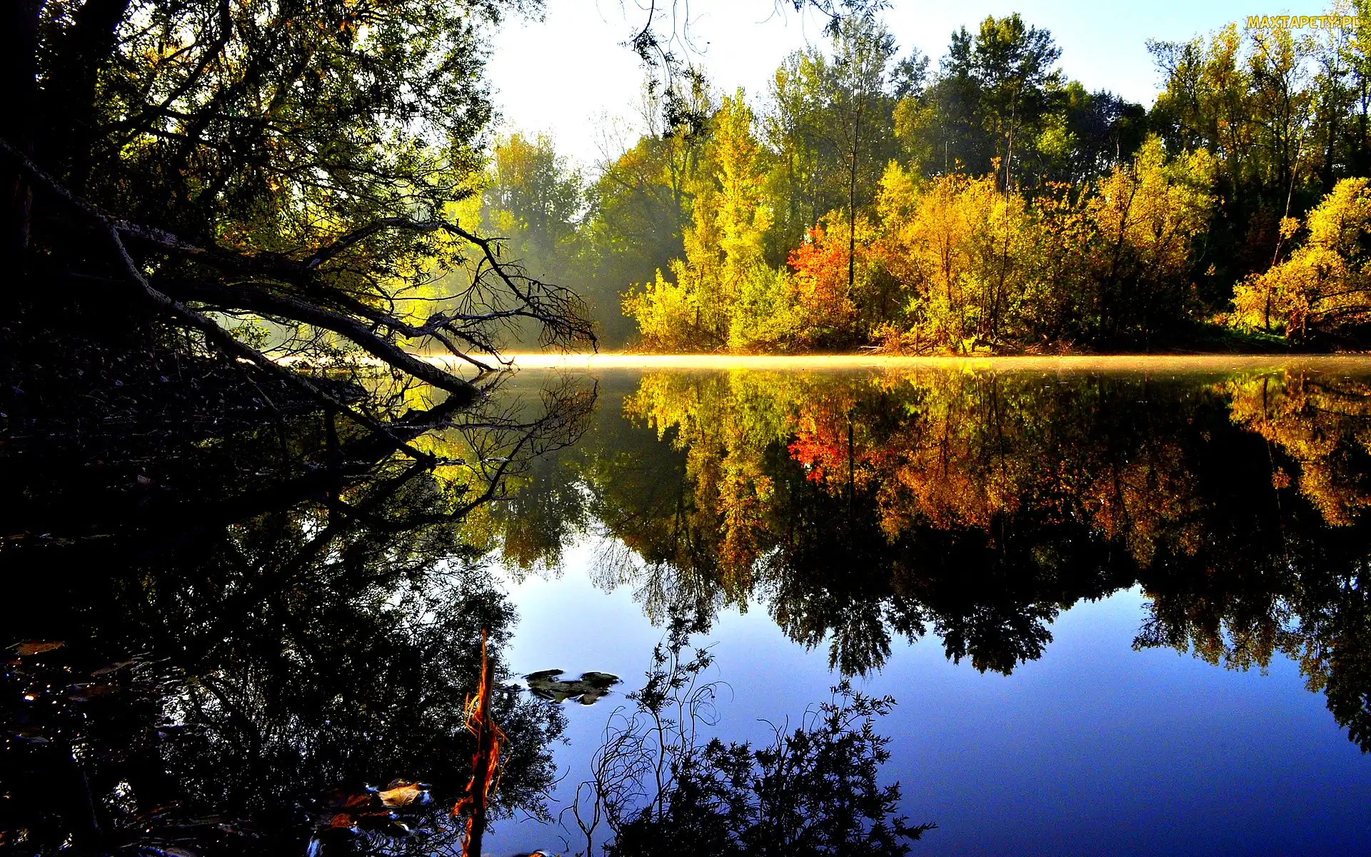Odbicie, Las, Jesień, Jezioro