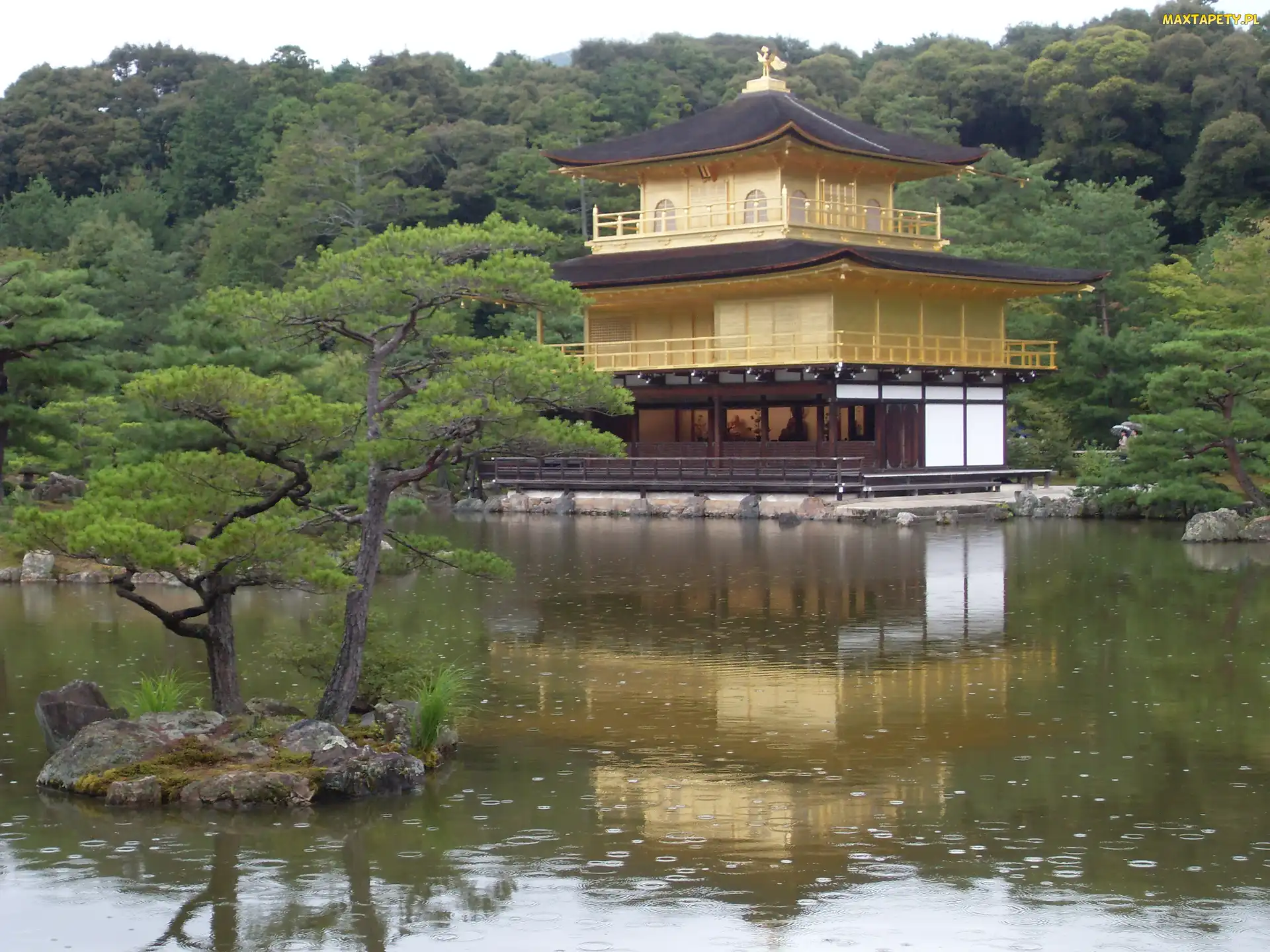 Świątynia Kinkakuji, Złoty Pawilon, Japonia, Drzewa, Kioto, Staw Kyko chi