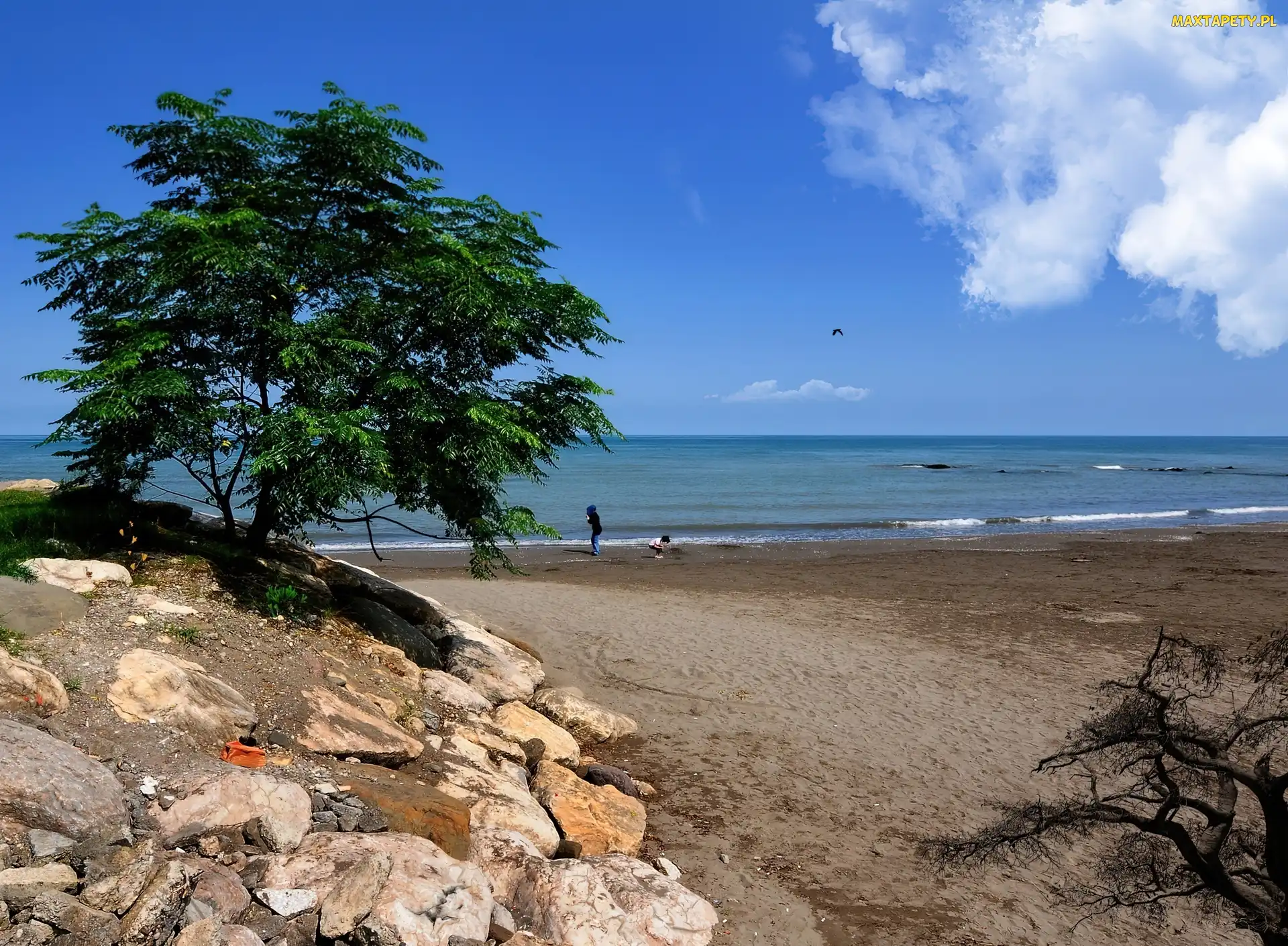 Plaże, Morze