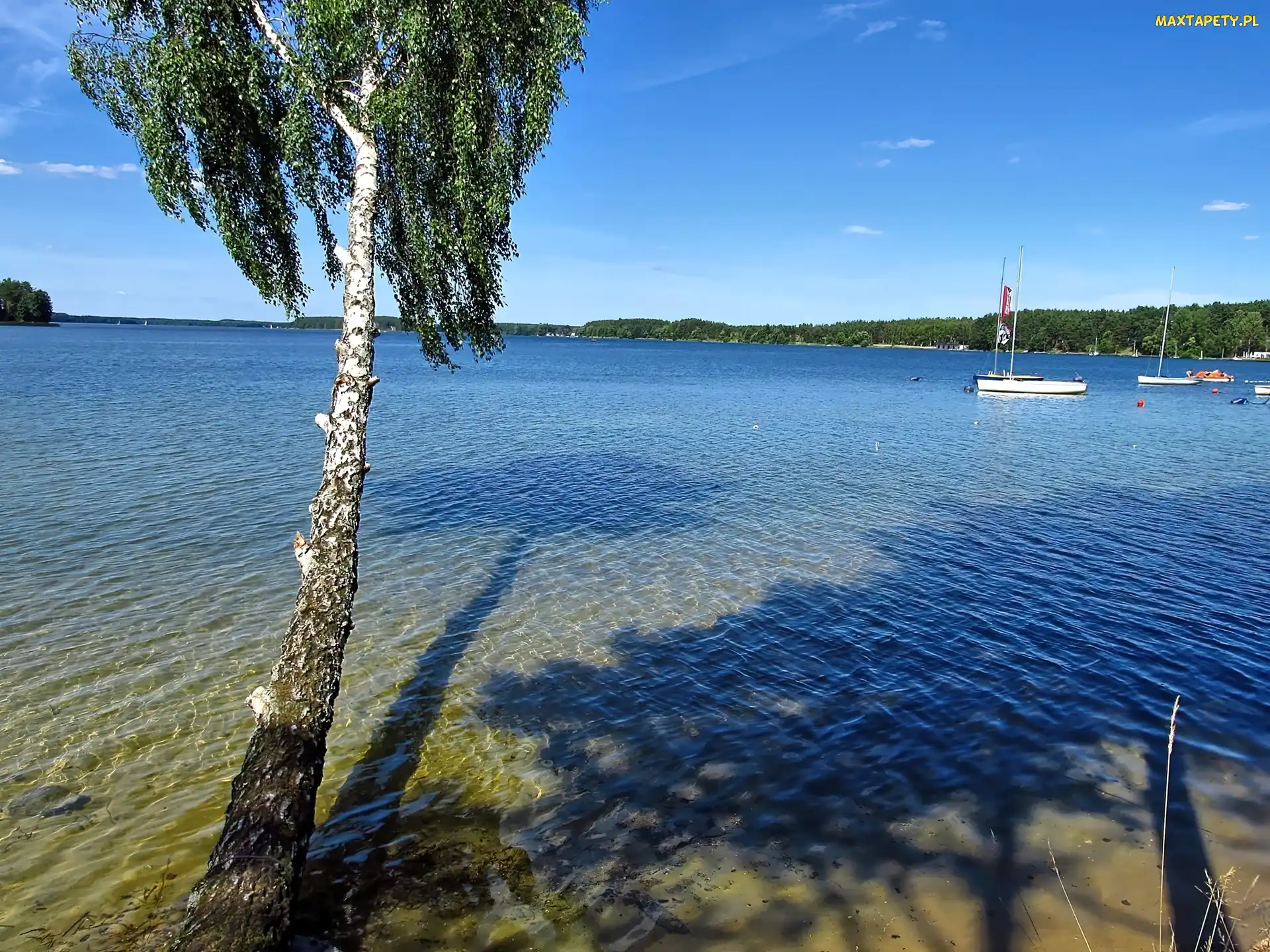 Brzoza, Jezioro, Łódki, Jachty, Kajaki, Fale