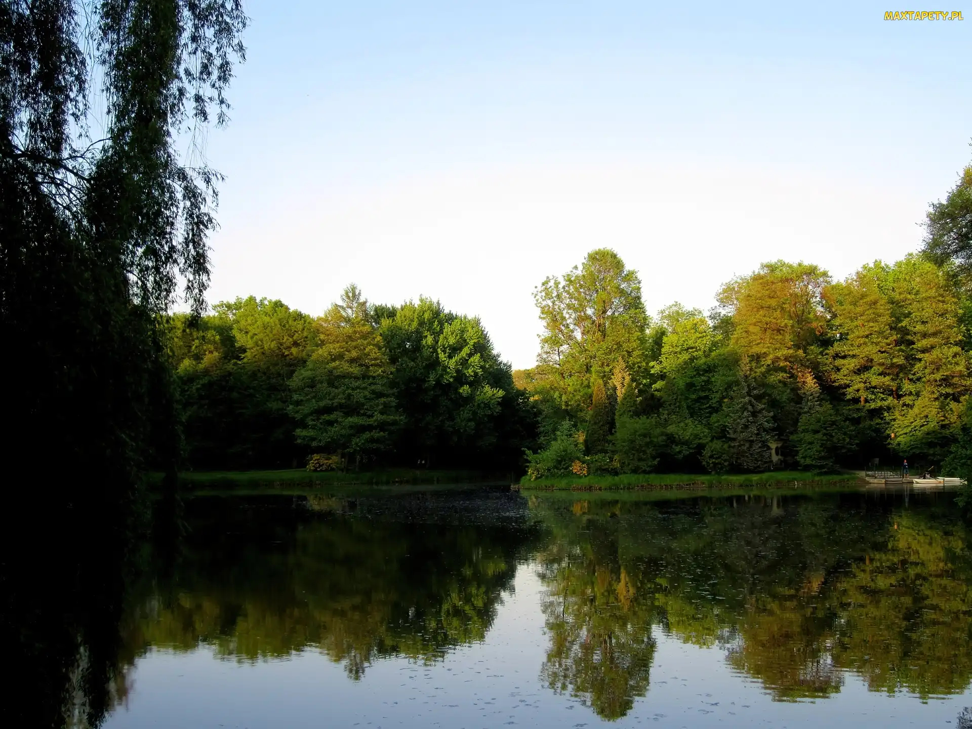 Jezioro, Drzewa, Wiosna