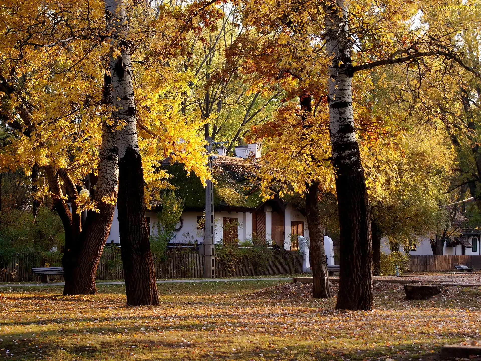 Jesień, Ławki, Park, Alejka