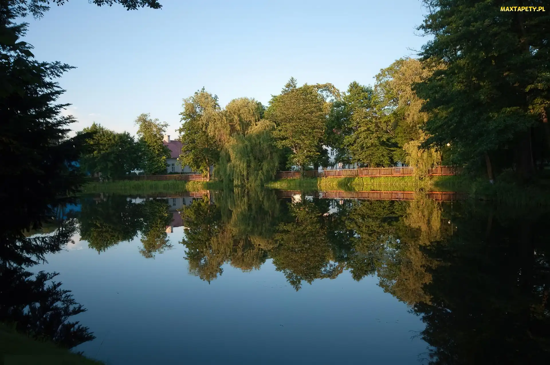 Odbicie, Drzewa, Jesień, Jezioro
