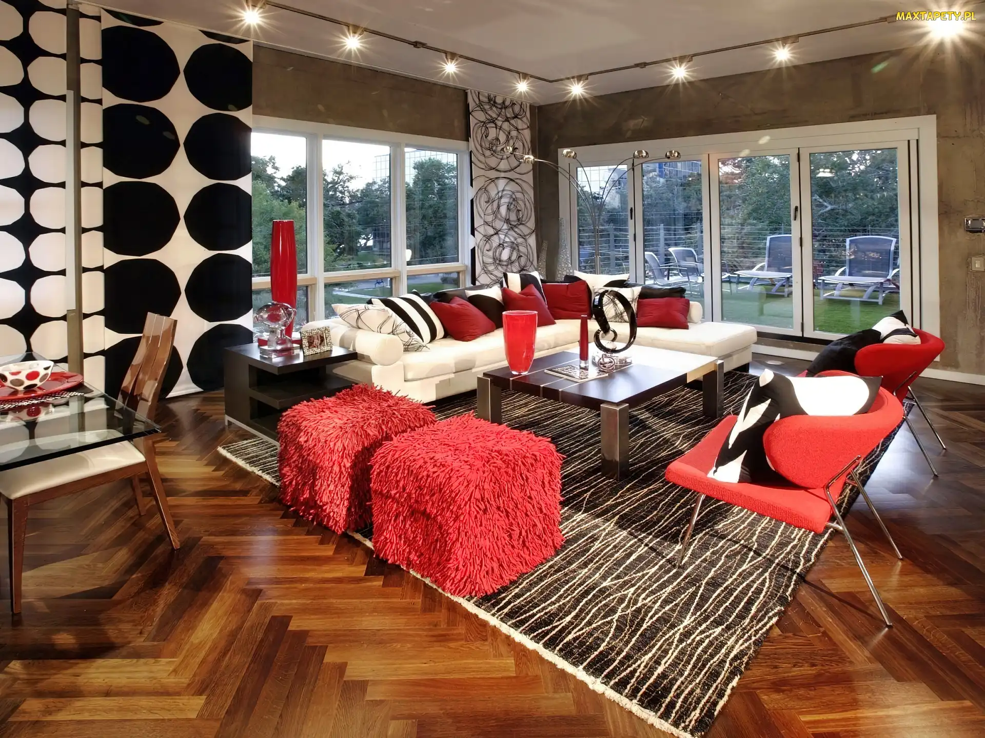 Okno, Taras, Salon