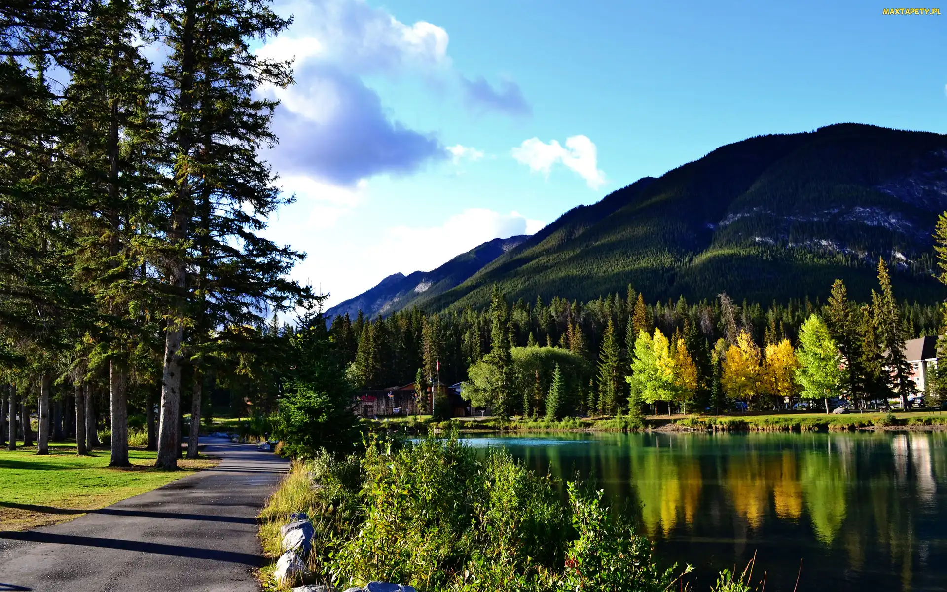 Góry, Jezioro, Prowincja Alberta, Drzewa, Miejscowość Banff, Kanada, Park Narodowy Banff
