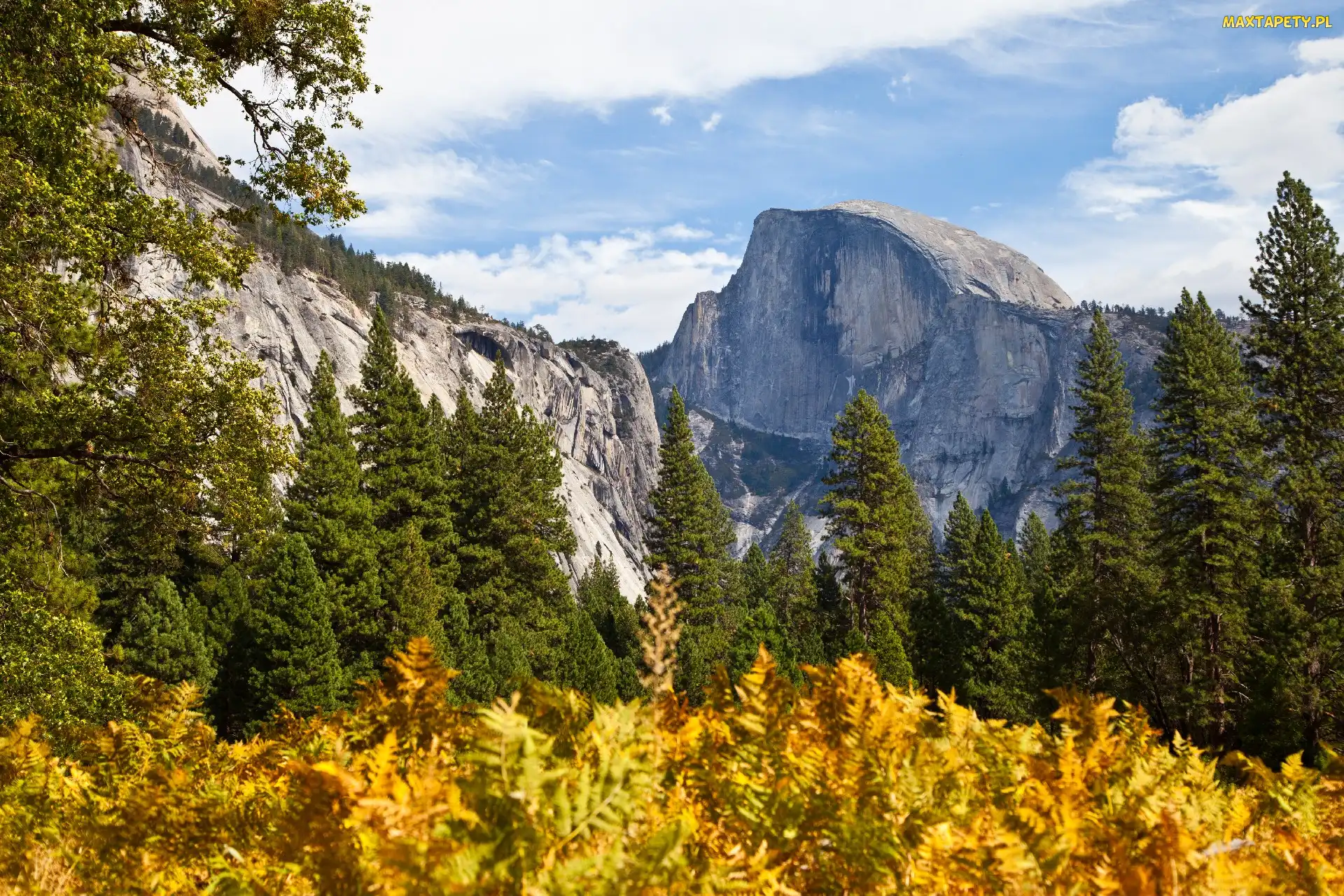 Drzewa, Góry, Stan Kalifornia, Stany Zjednoczone, Park Narodowy Yosemite, Jesień