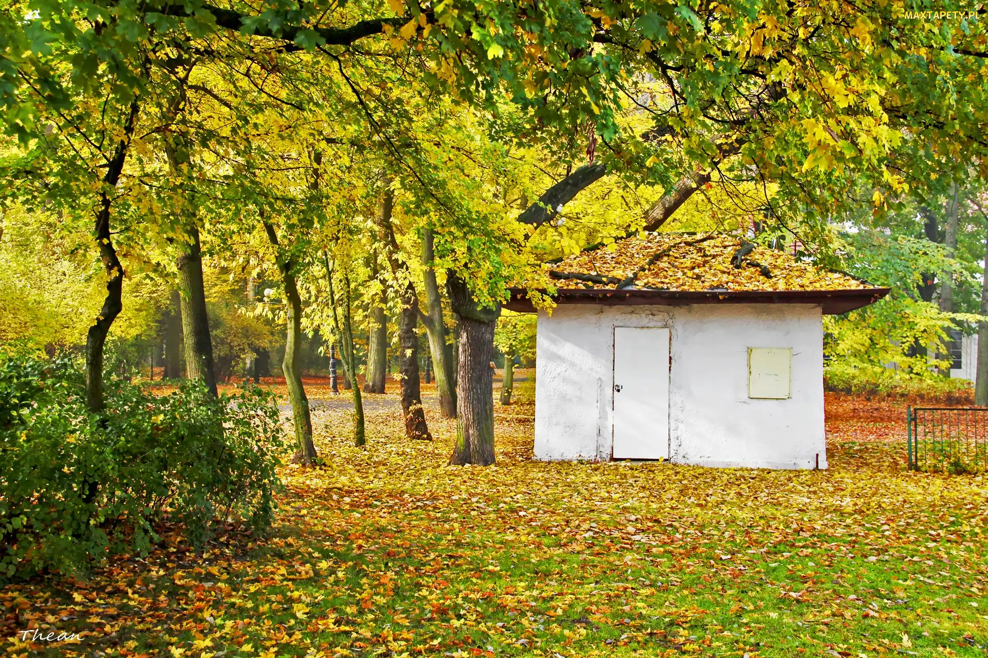 Biały, Jesień, Park, Domek, Mały