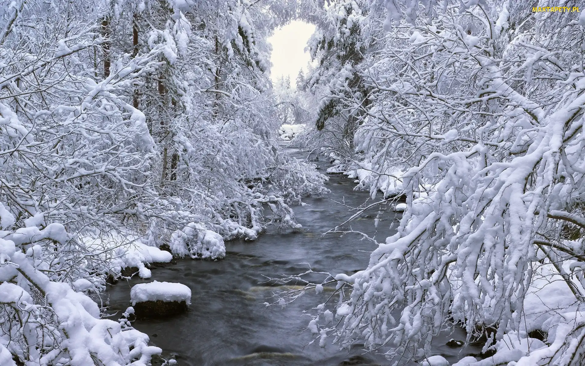 Ośnieżone, Drzewa, Rzeczka