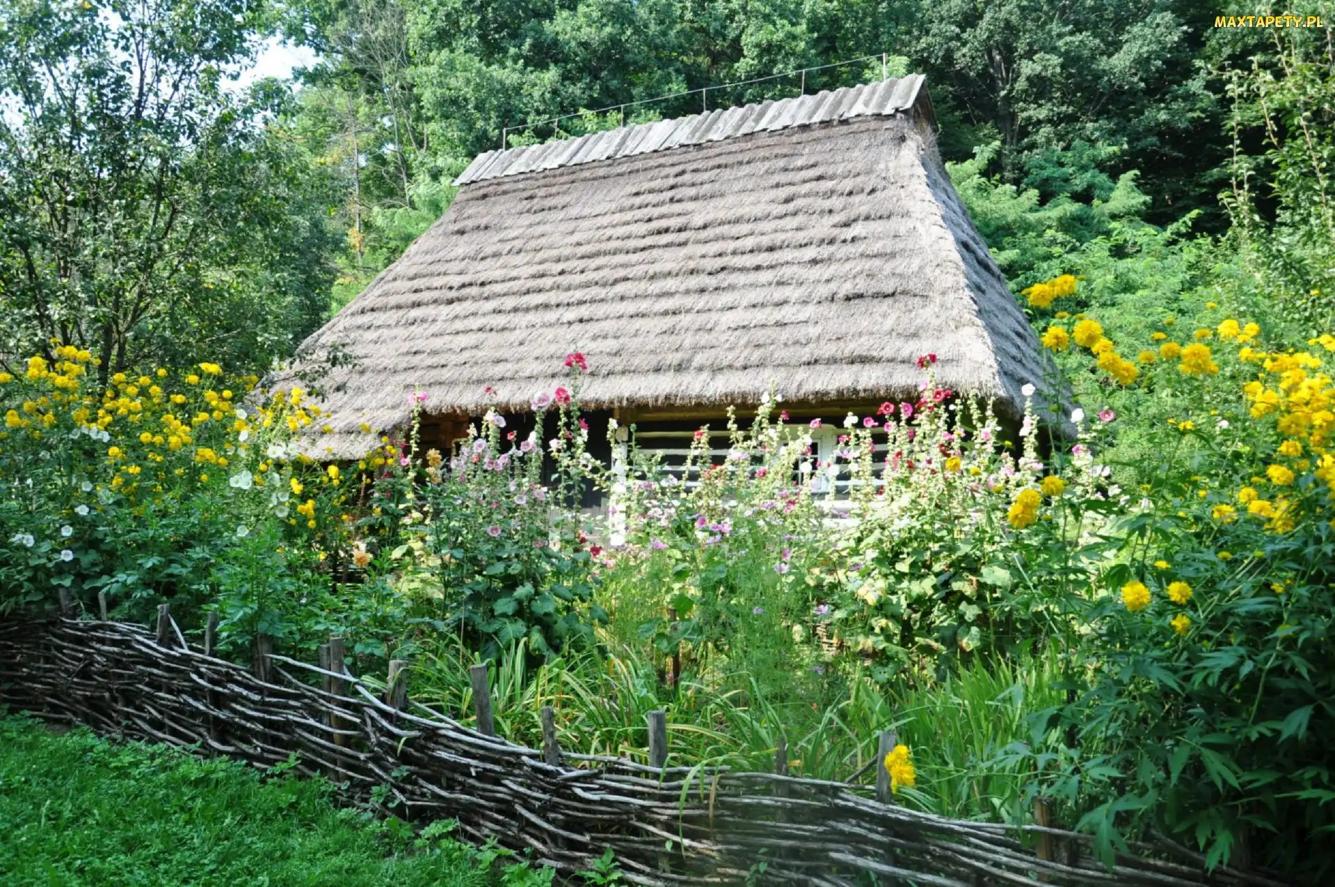 Drzewa, Płot, Trawa, Kwiaty, Domek
