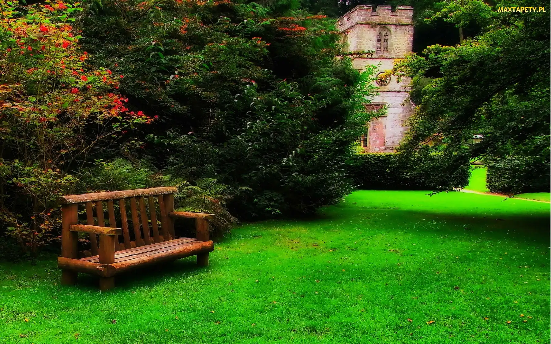 Drzewa, Ławeczka, Park