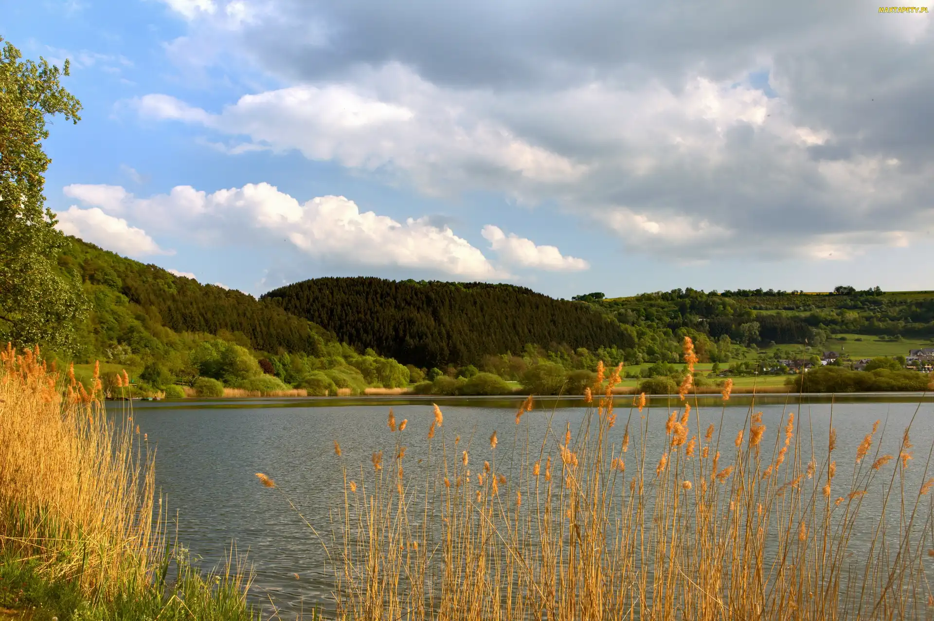 Lasy, Jesień, Jezioro