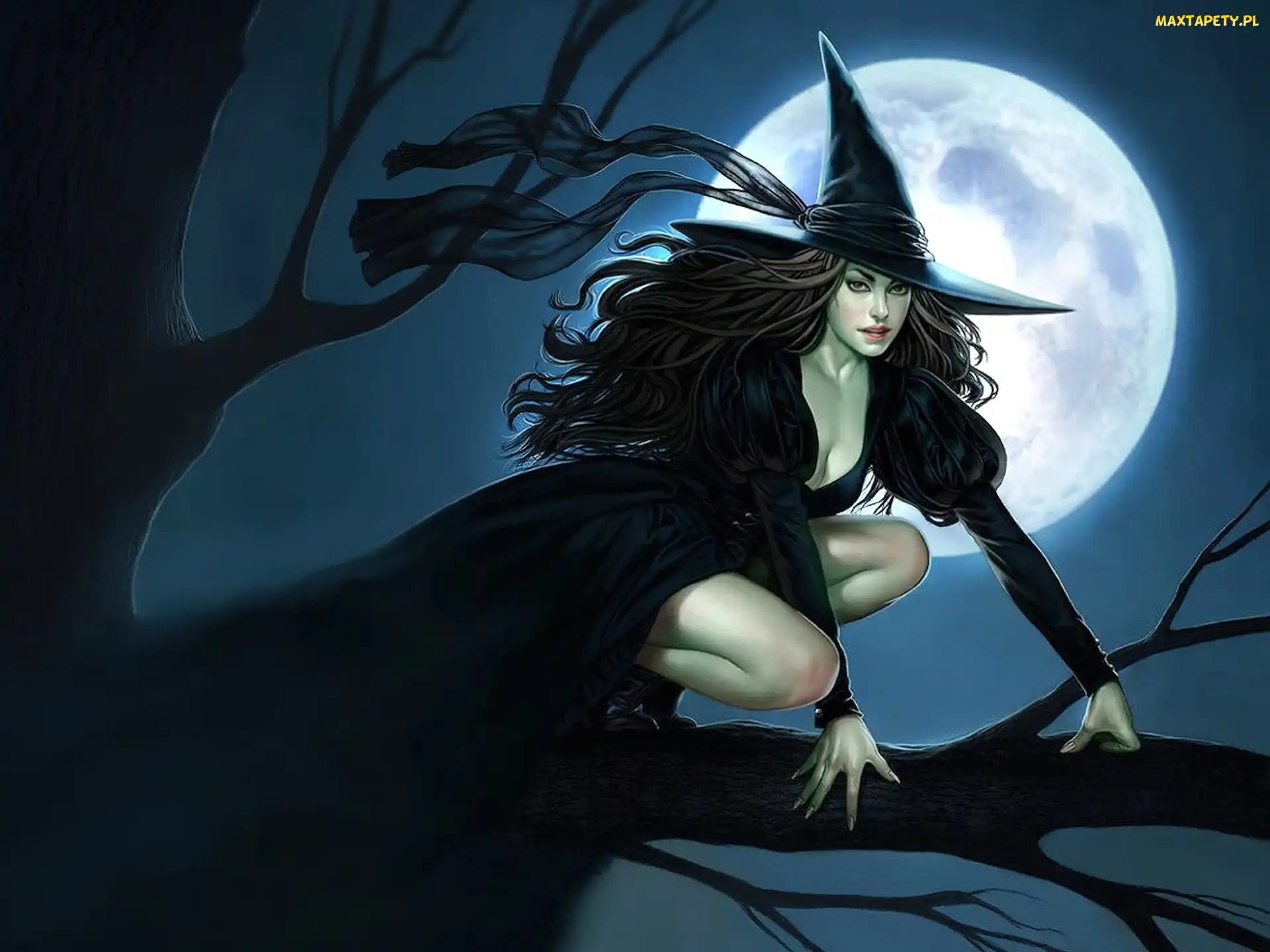 Halloween, Księżyca, Czarownica, Pełnia, Kobieta