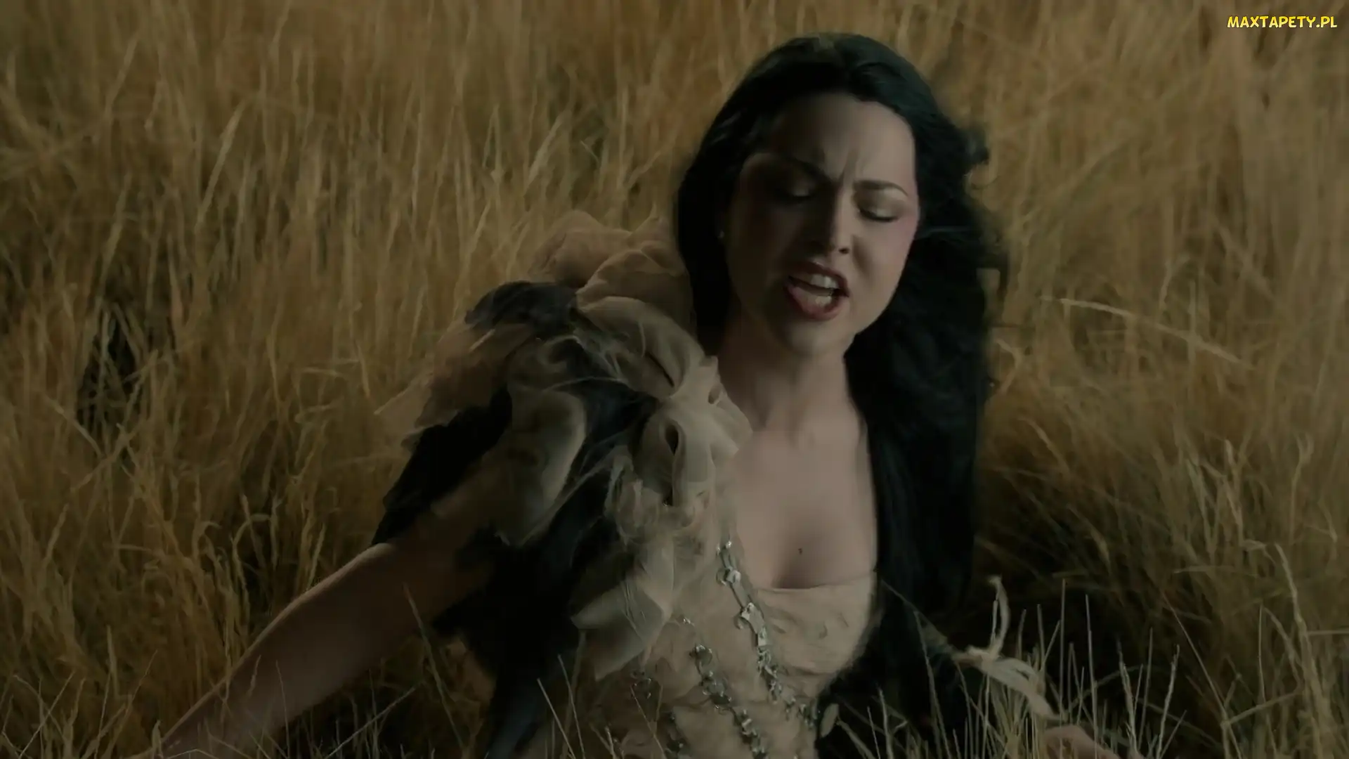 Evanescence, Amy Lee