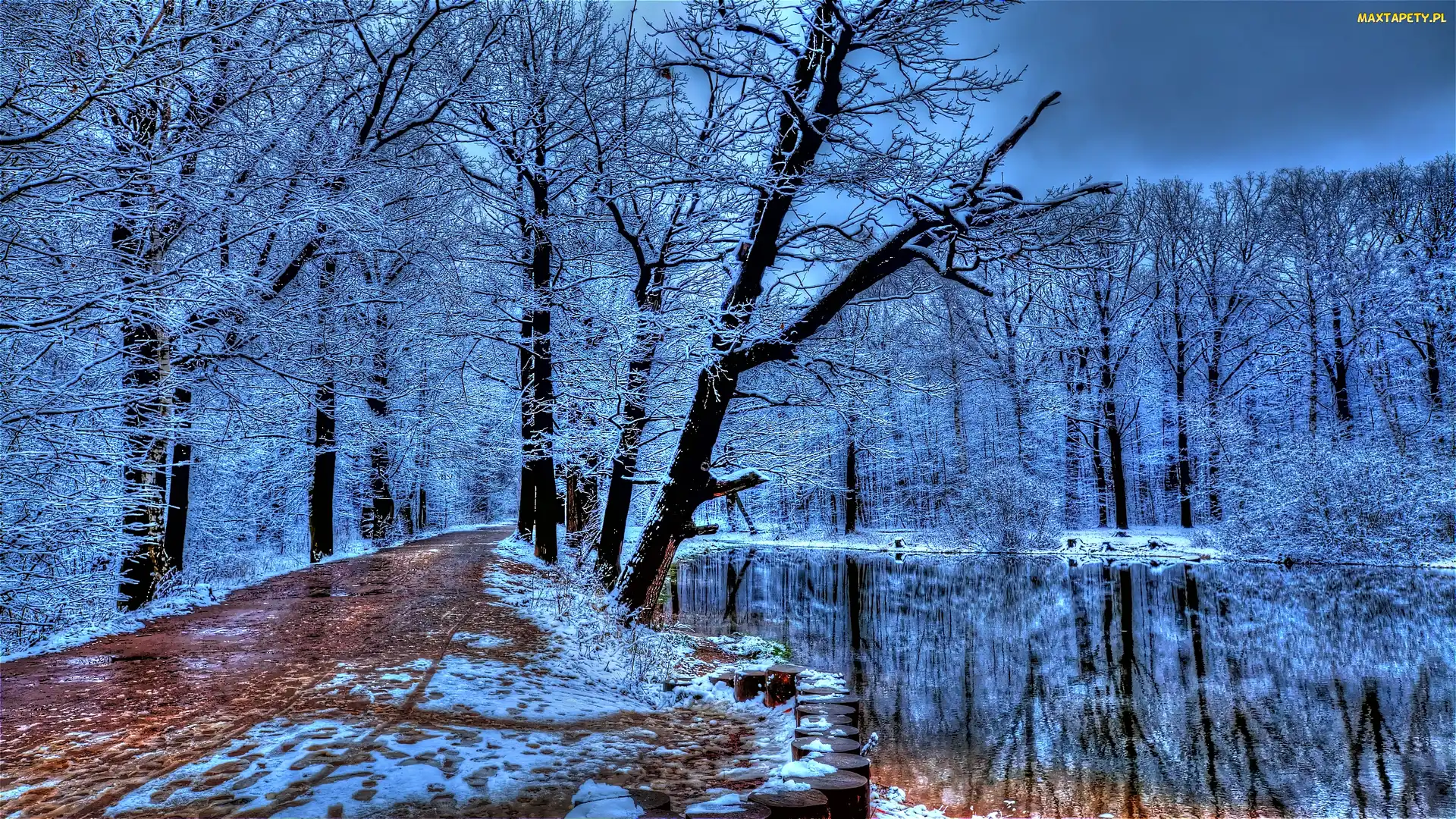 Park, Zima, Rzeka, Droga