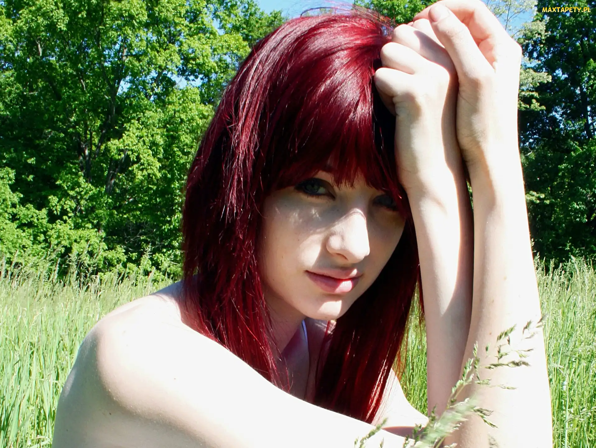 Łąka, Susan Coffey