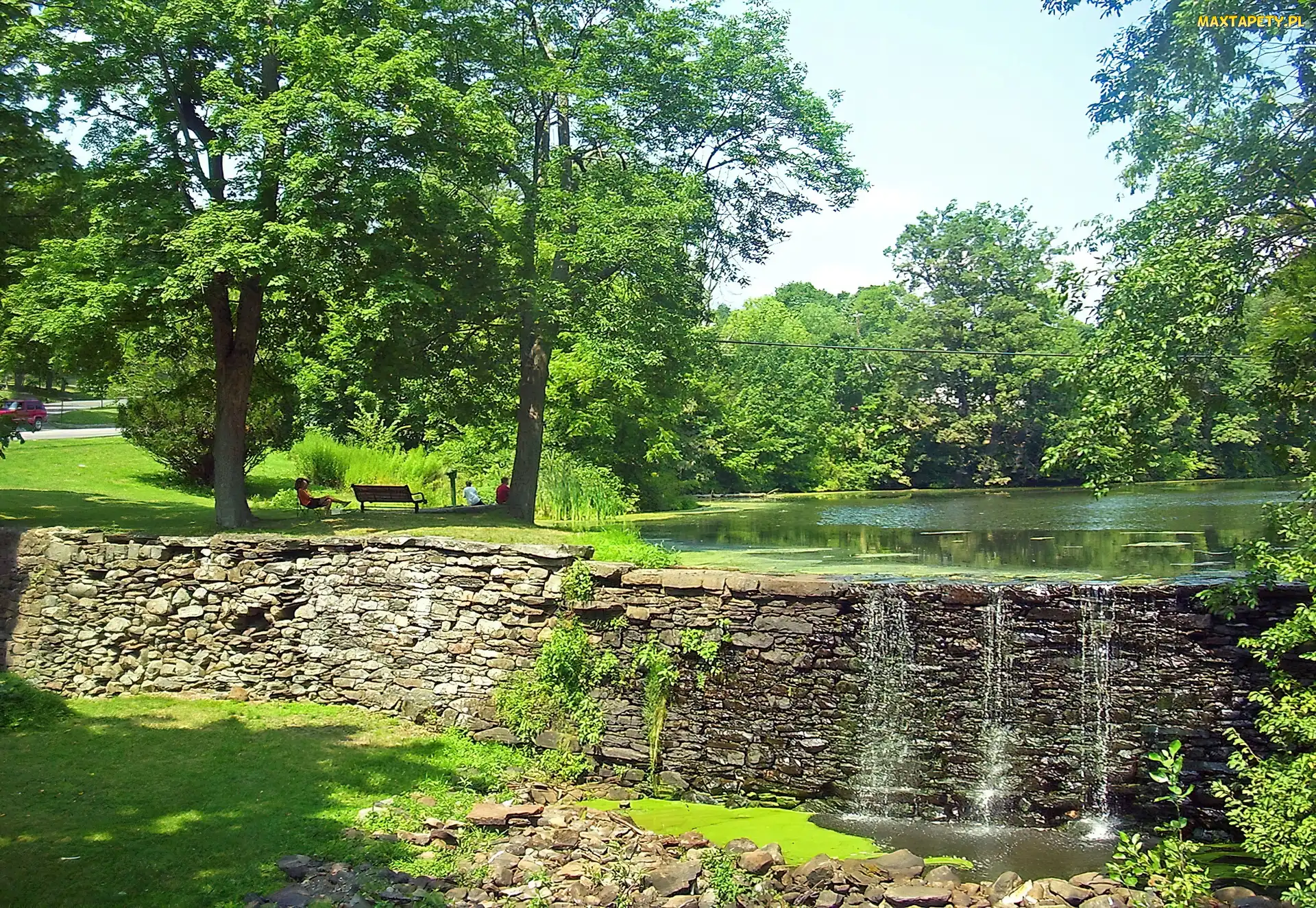Staw, Ławeczki, Park