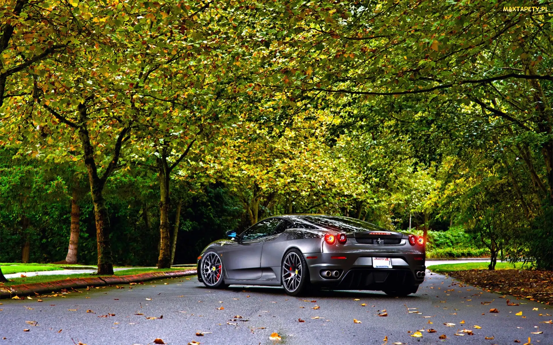 F430, Drzewa, Droga, Jesień, Ferrari