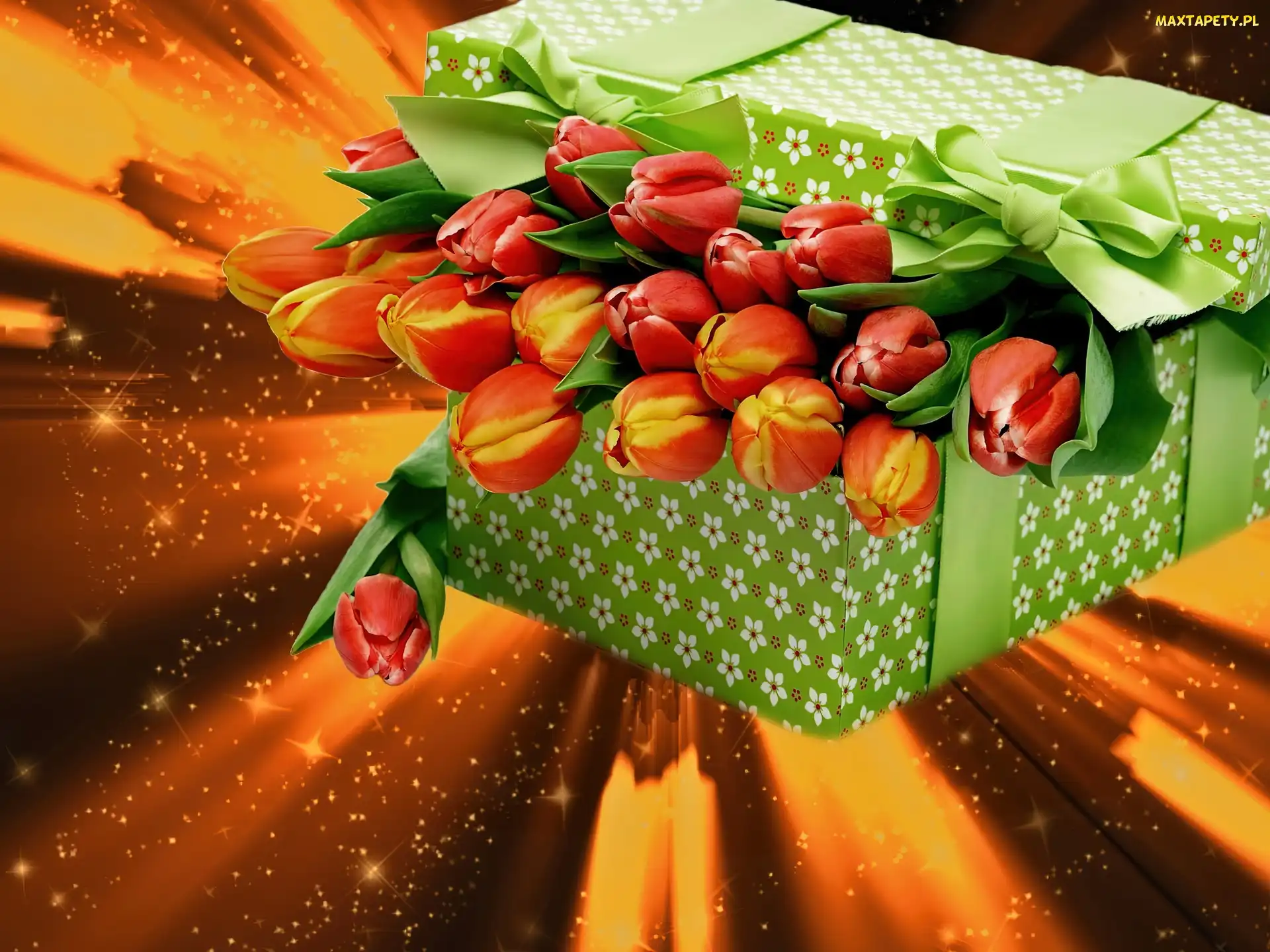 Tulipany, Grafika, Prezent