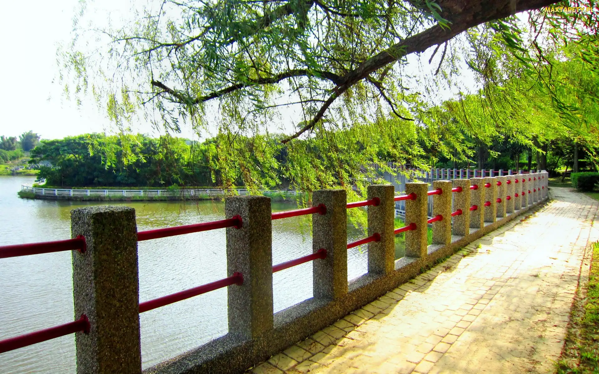 Bulwar, Drzewa, Jezioro