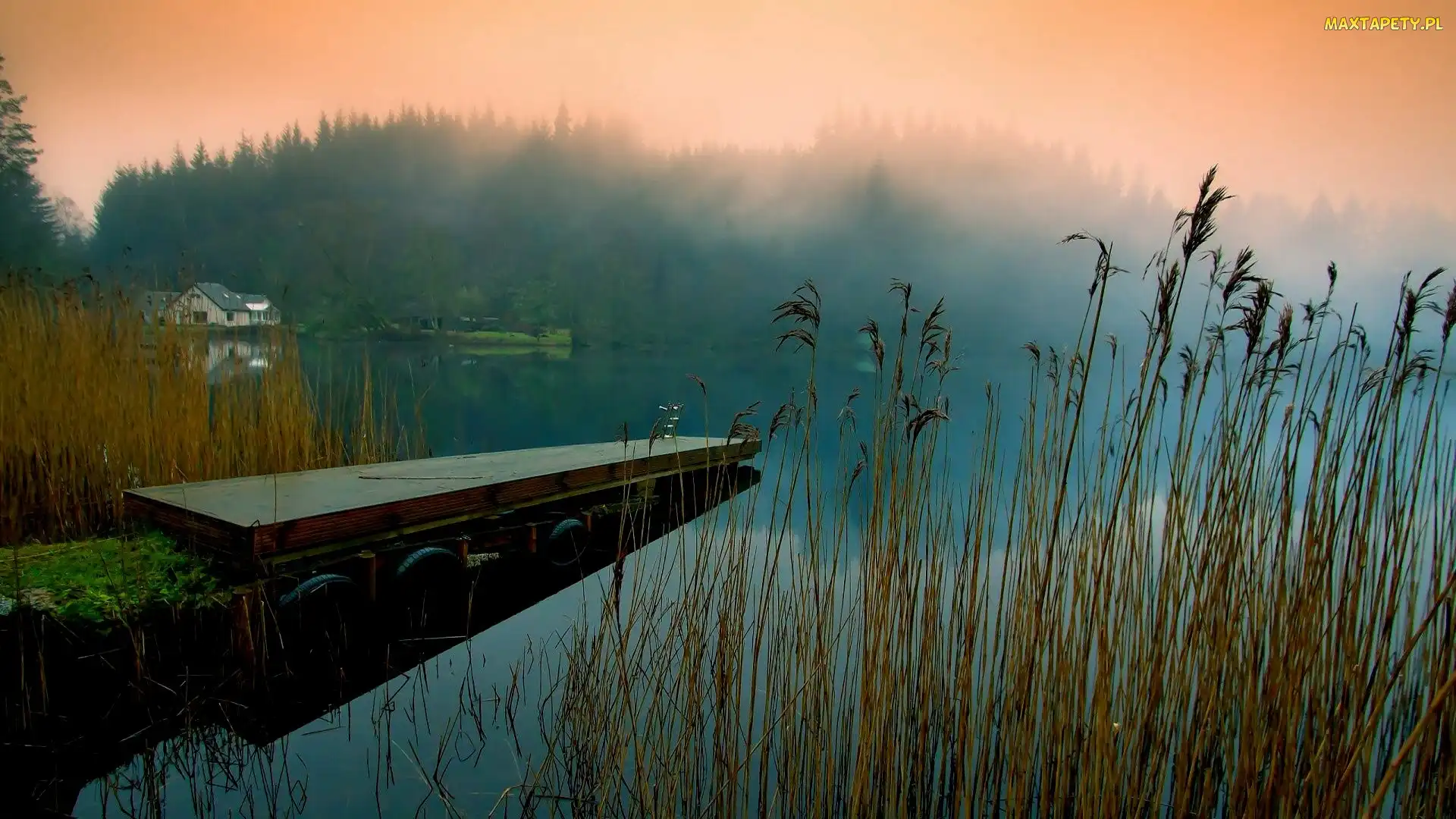 Jezioro, Mgle, Las, We, Pomost