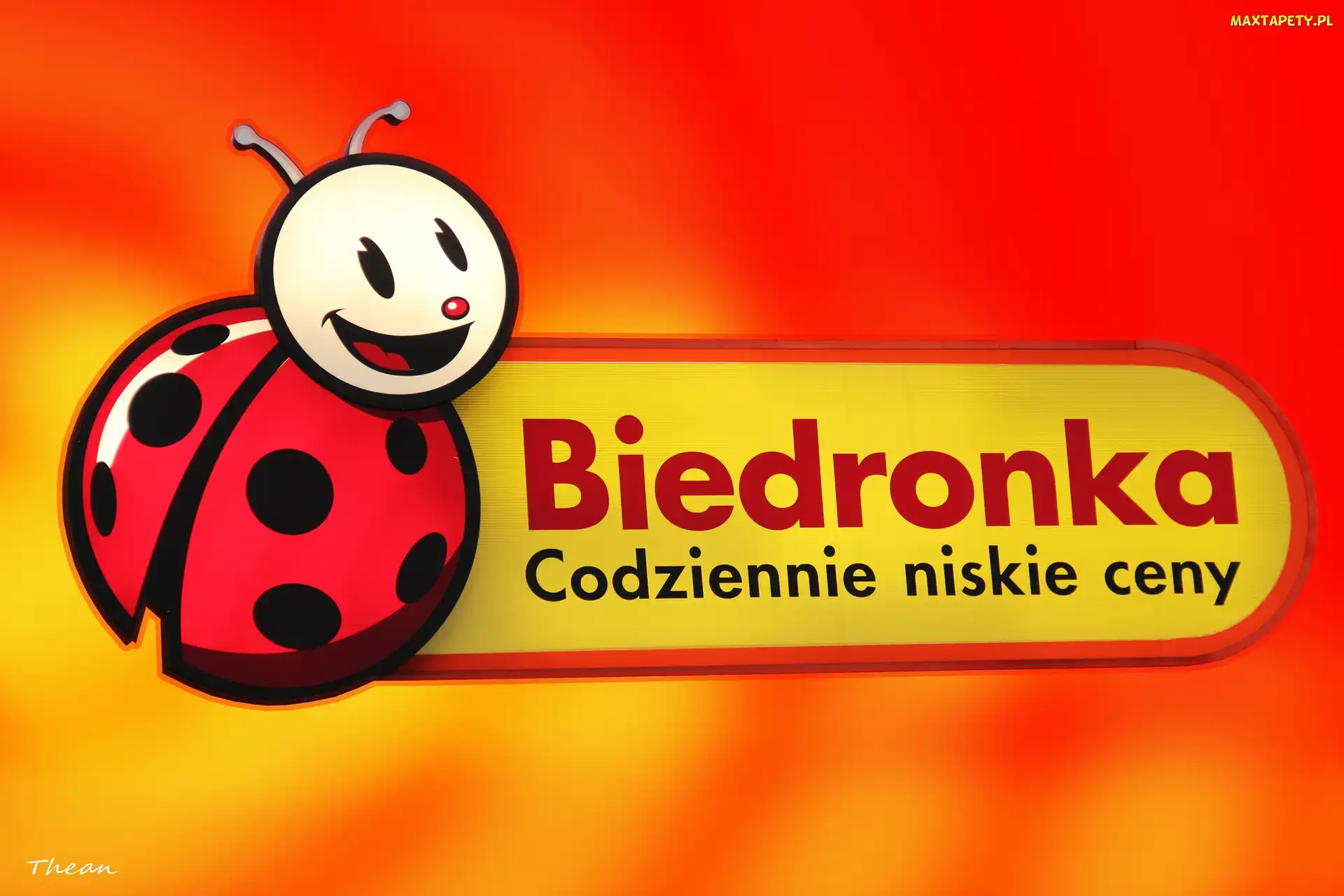 Dyskont Biedronka, Reklama
