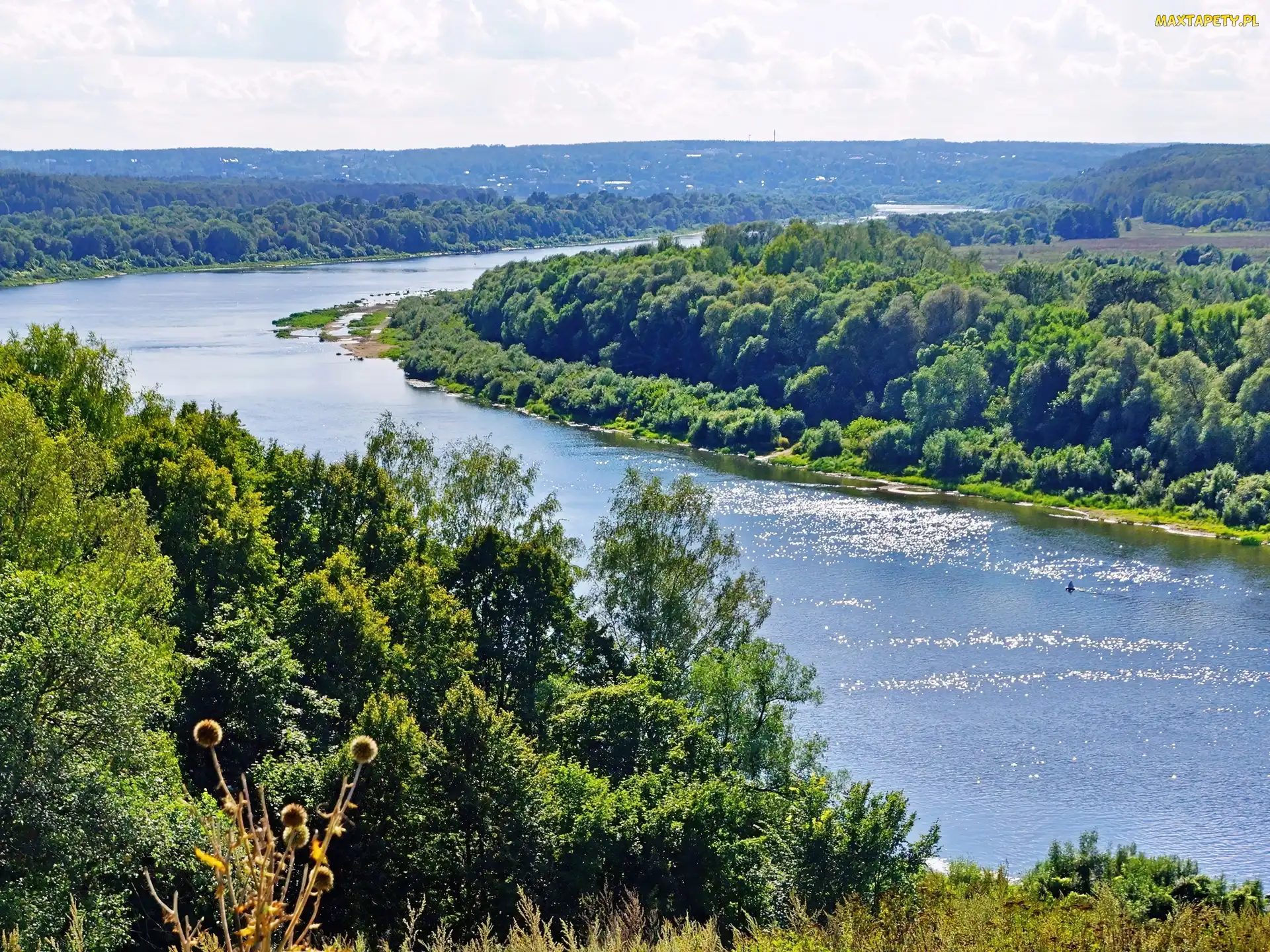 Rzeka, Oka, Las