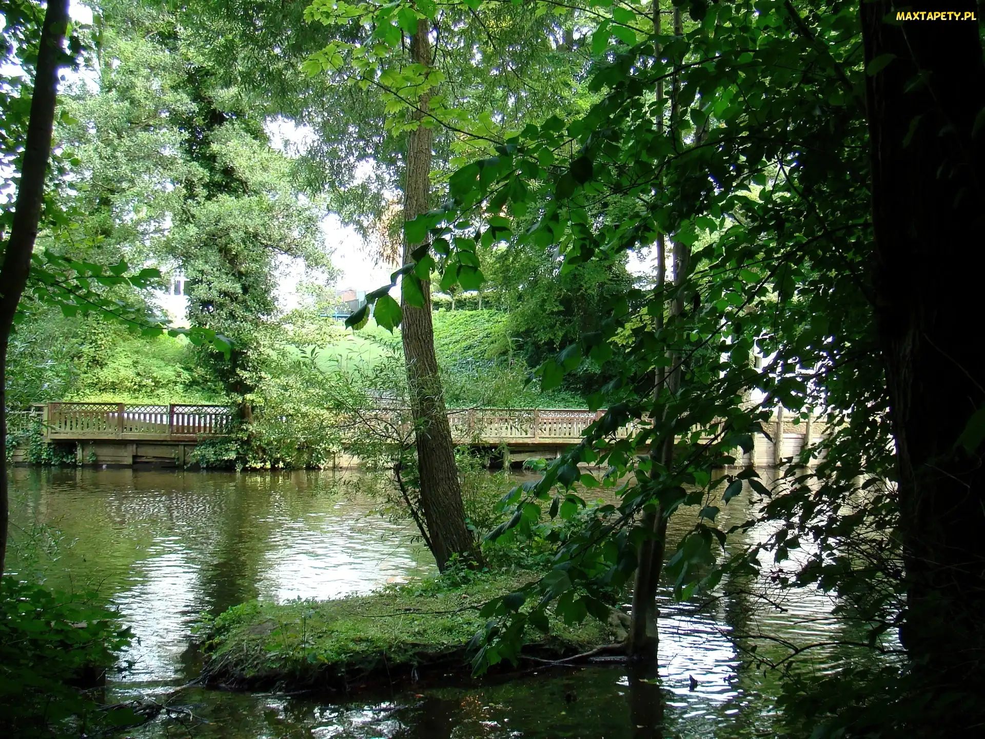 Drzewa, Mostek, Rzeka