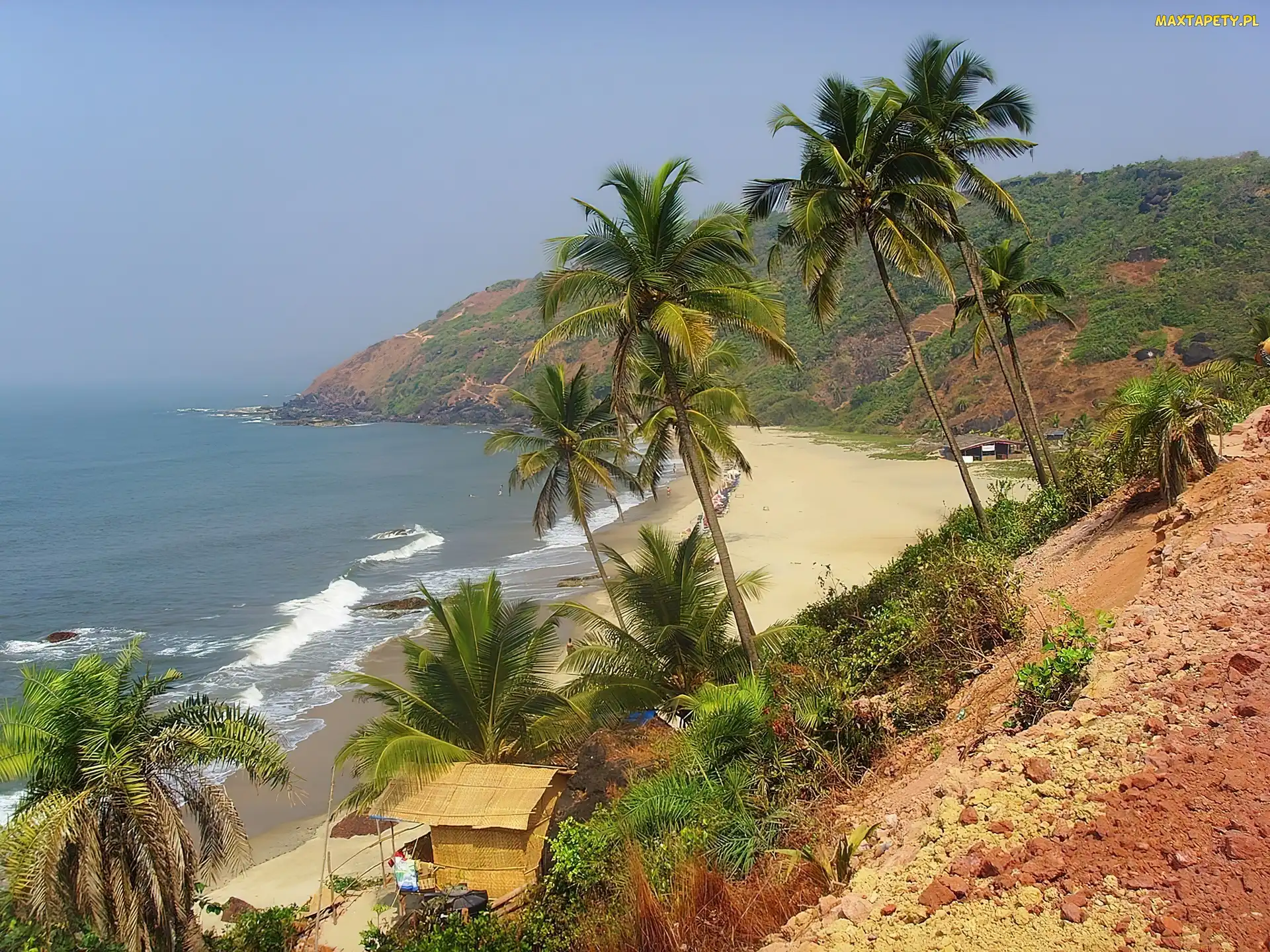 Indie, Goa, Plaża, Palmy