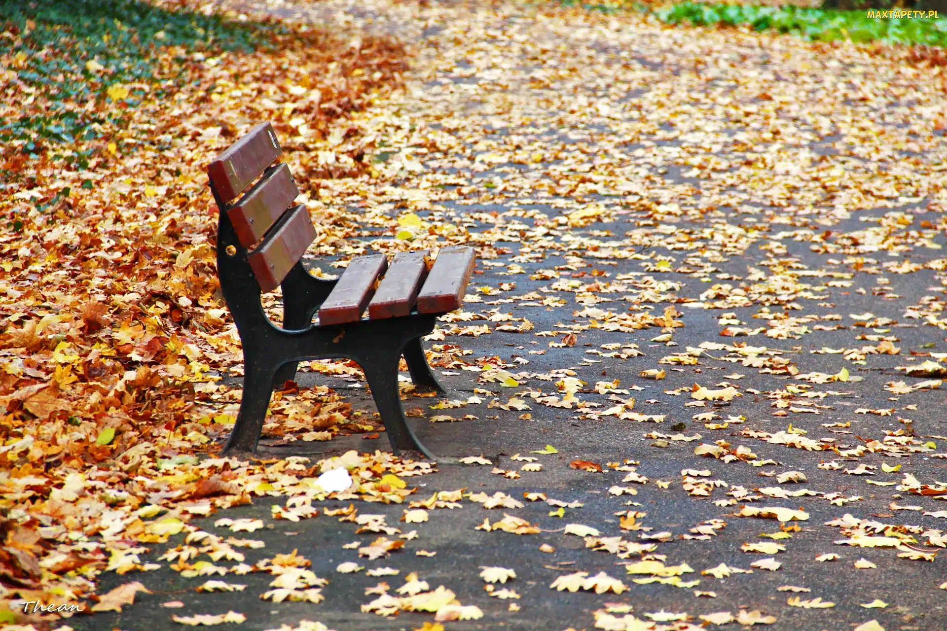 Jesień, Liście, Ławka, Park