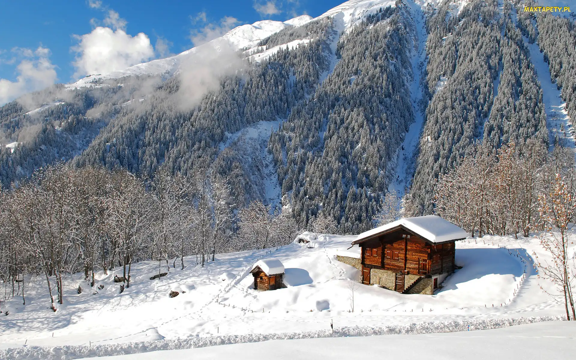 Las, Domek, Góry