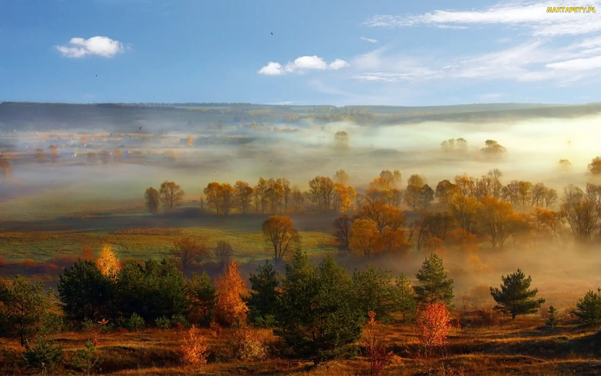 Drzewa, Jesień, Panorama, Mgła, Pola