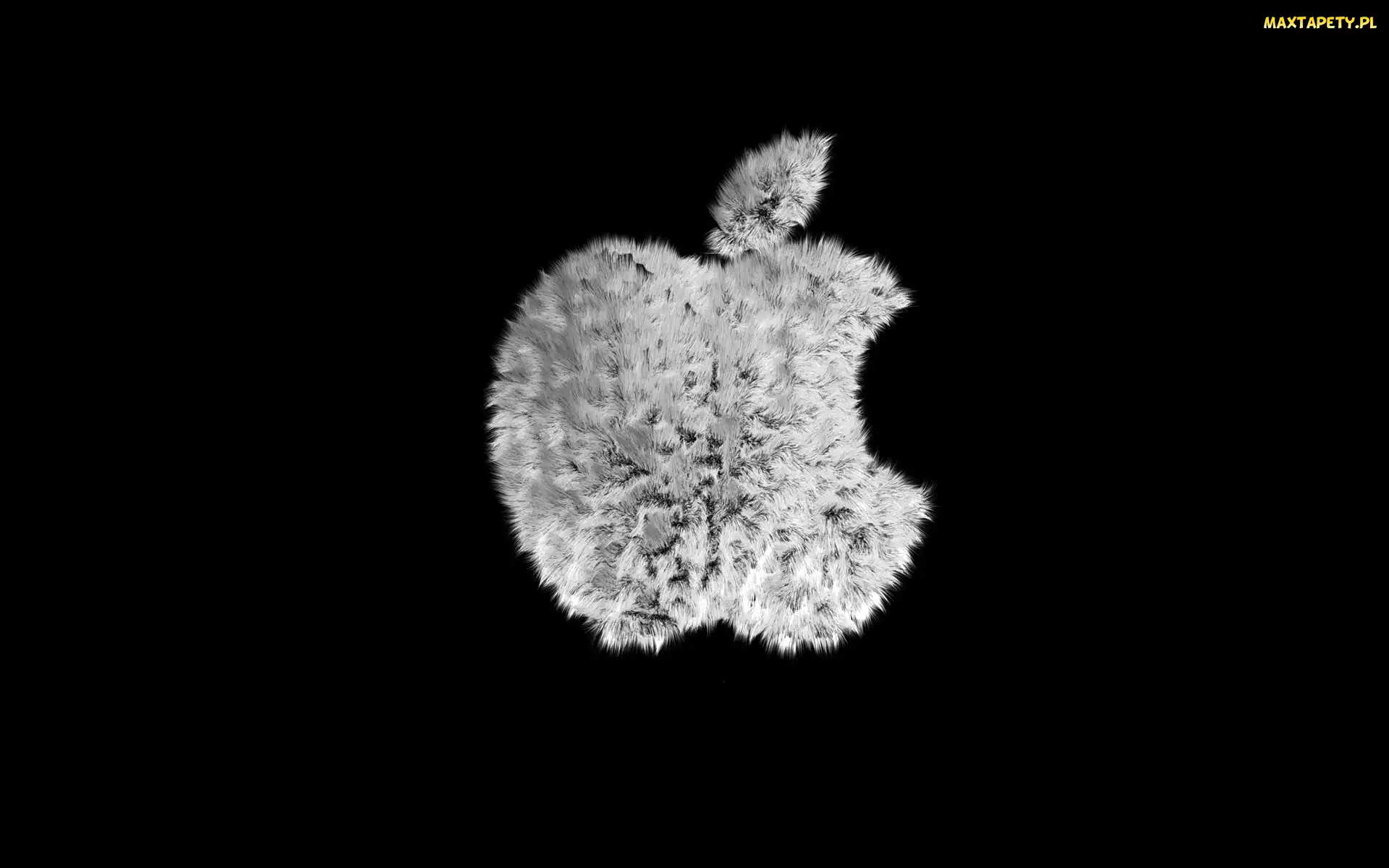 Logo, Apple