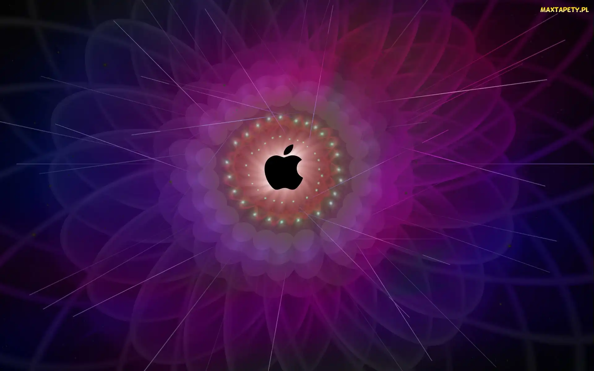 Logo, Fraktal, Tło, Fioletowe, Apple